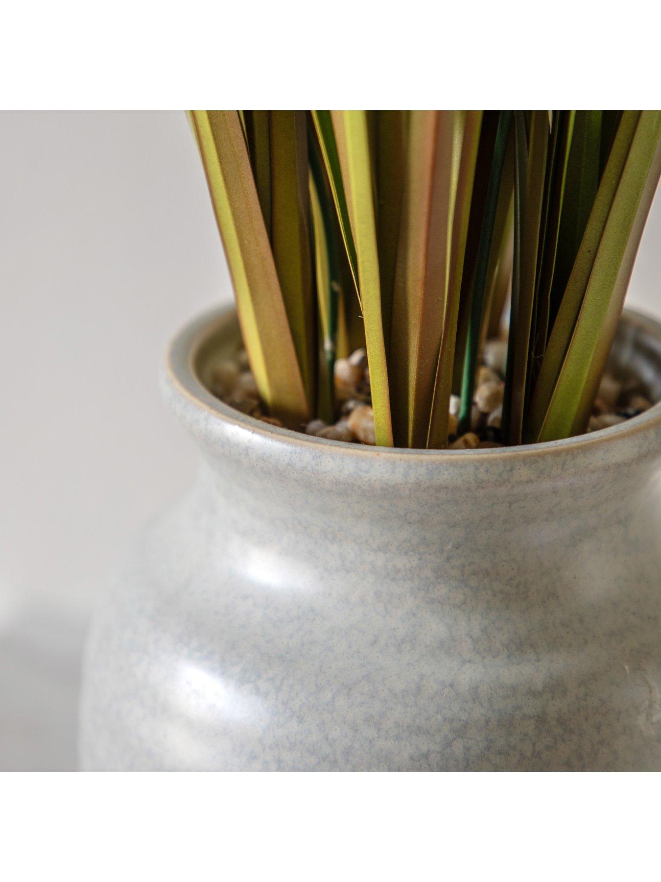 gallery-direct-potted-grass-with-feathered-wildfloweroutfit