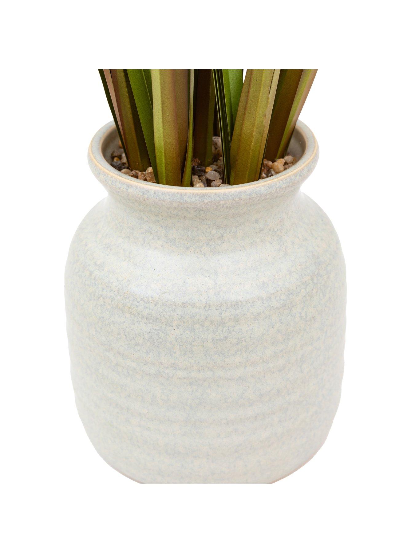 gallery-direct-potted-grass-with-feathered-wildflowerdetail
