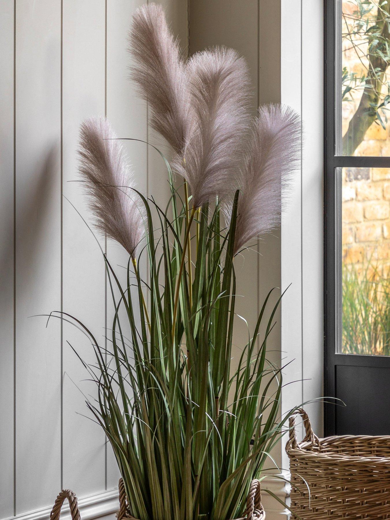gallery-direct-potted-grass-with-pampas-seed-heads-5pk-1270mmfront