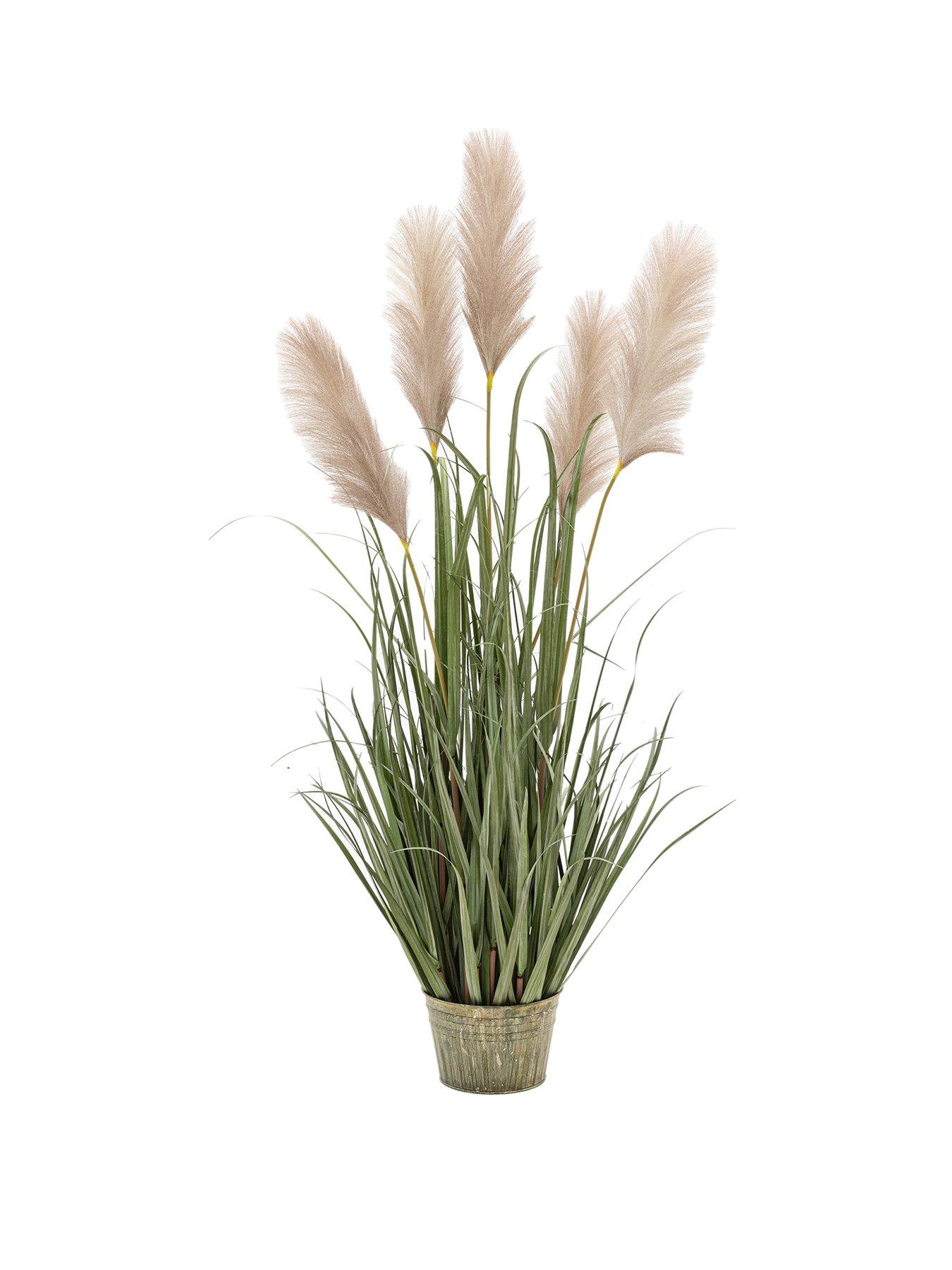 gallery-direct-potted-grass-with-pampas-seed-heads-5pk-1270mmstillFront