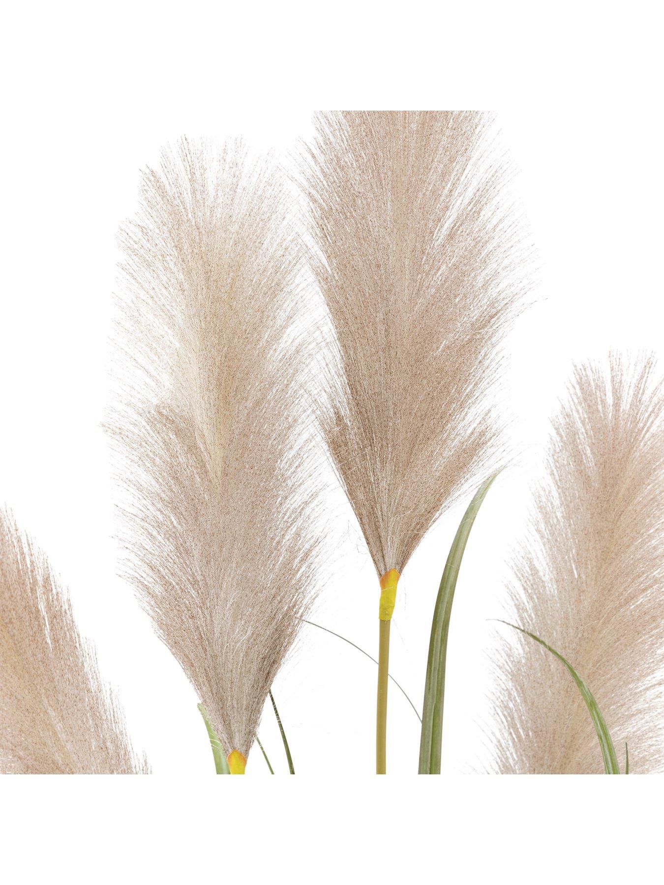 gallery-direct-potted-grass-with-pampas-seed-heads-5pk-1270mmoutfit