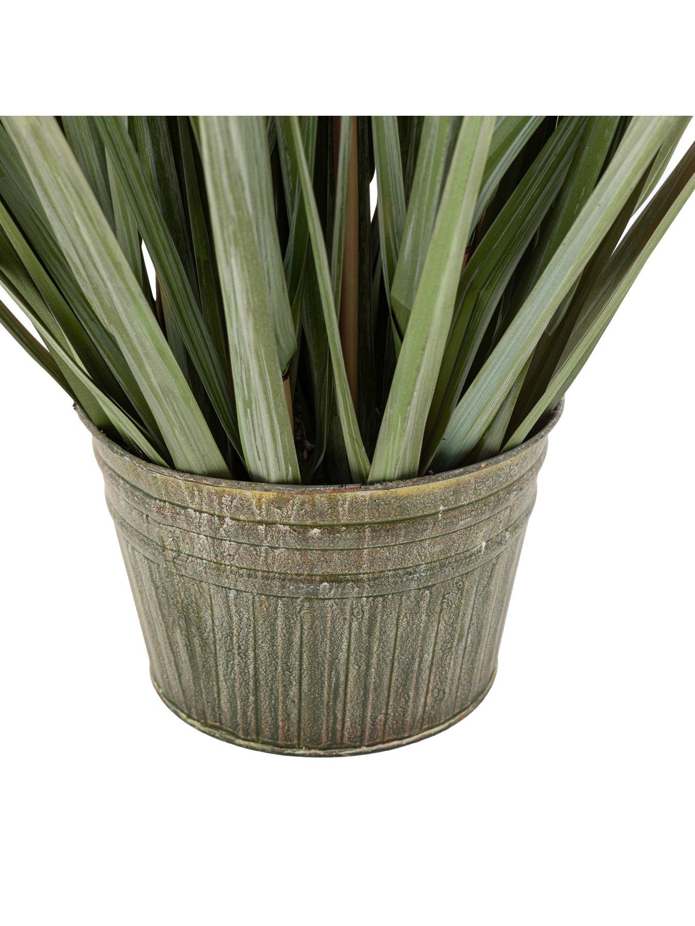 gallery-direct-potted-grass-with-pampas-seed-heads-5pk-1270mmdetail
