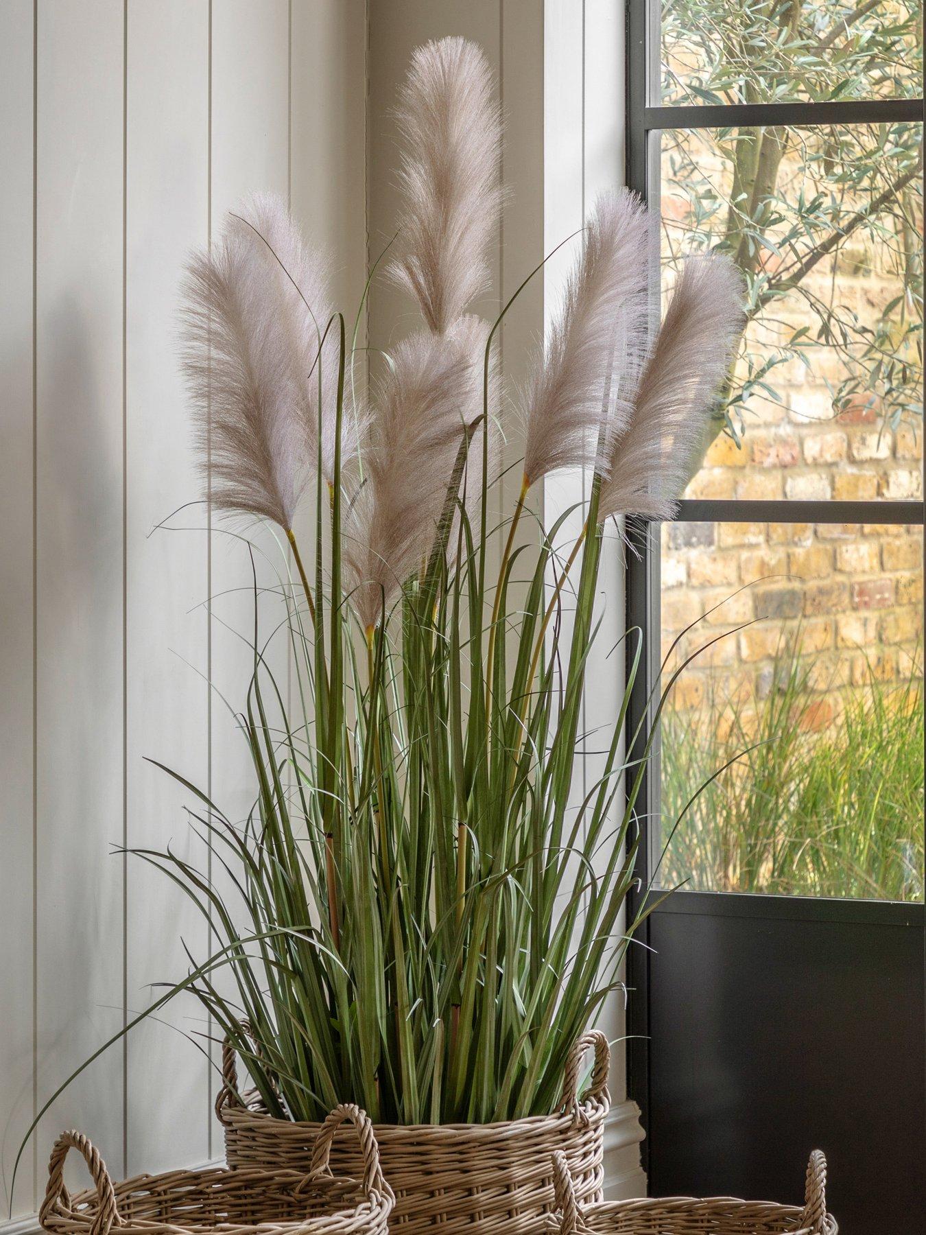 gallery-direct-potted-grass-with-pampas-seed-heads-5pk-1570mm