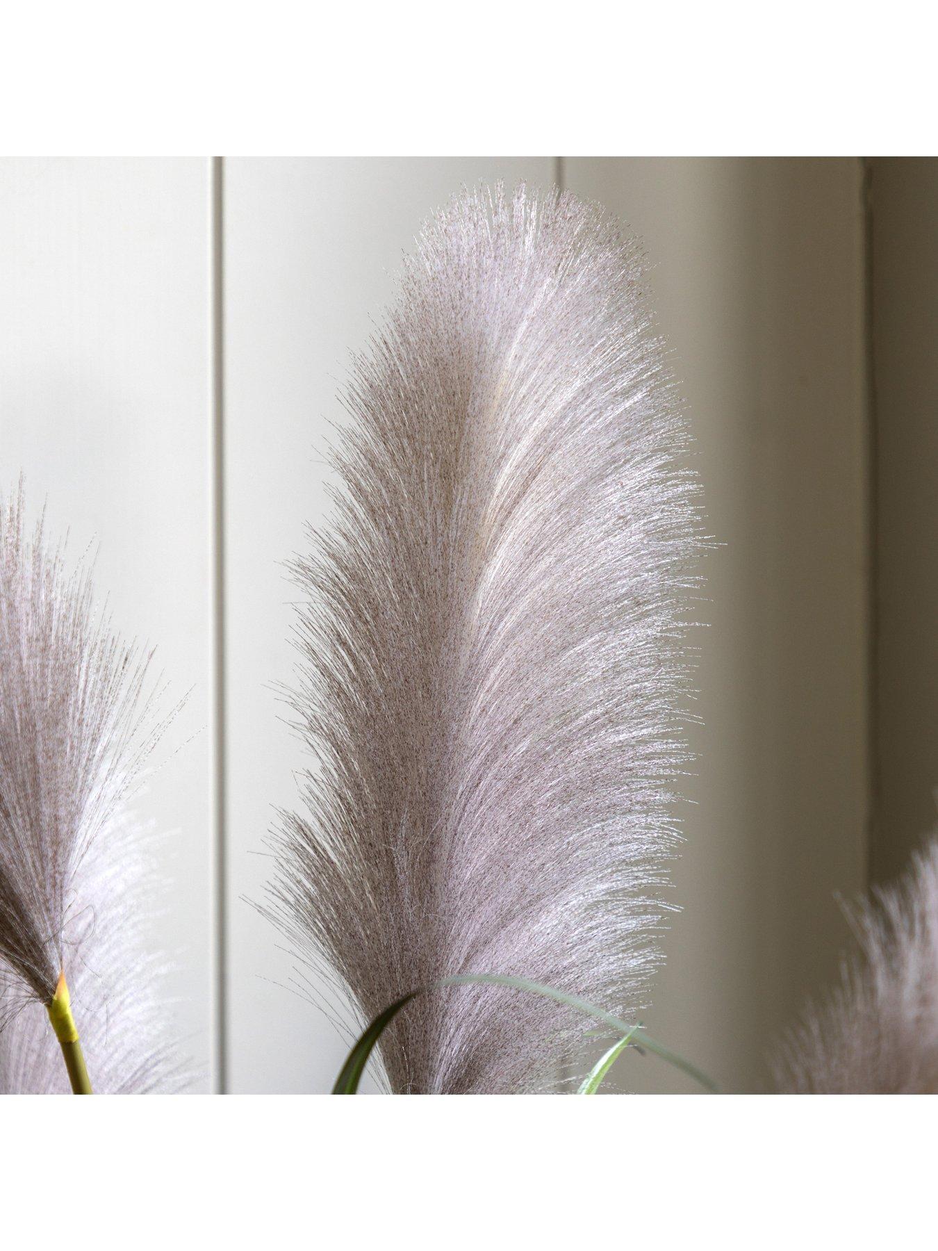 gallery-direct-potted-grass-with-pampas-seed-heads-5pk-1570mmback