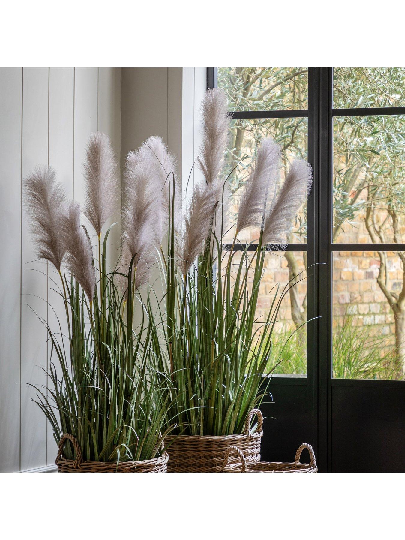 gallery-direct-potted-grass-with-pampas-seed-heads-5pk-1570mmoutfit