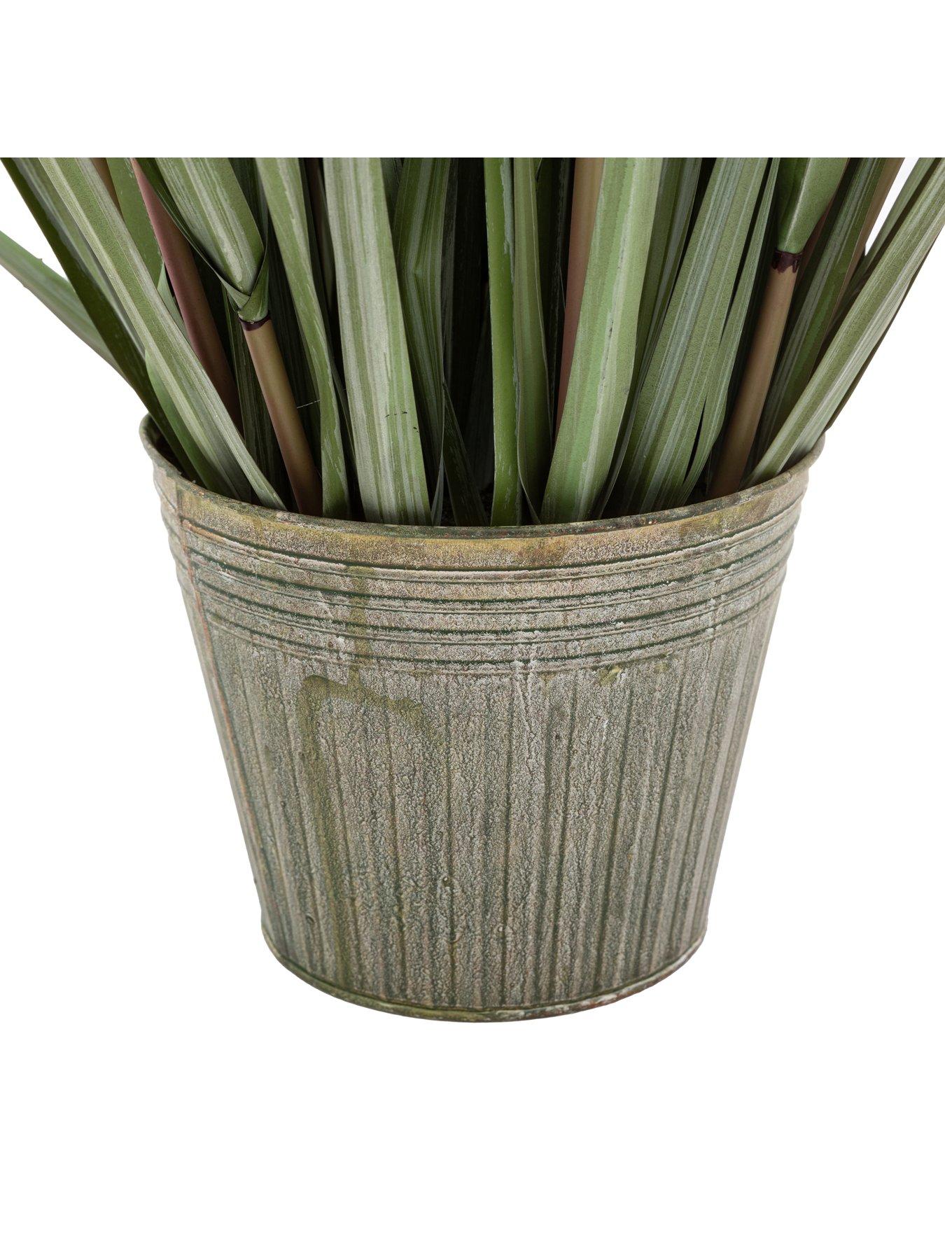 gallery-direct-potted-grass-with-pampas-seed-heads-5pk-1570mmdetail