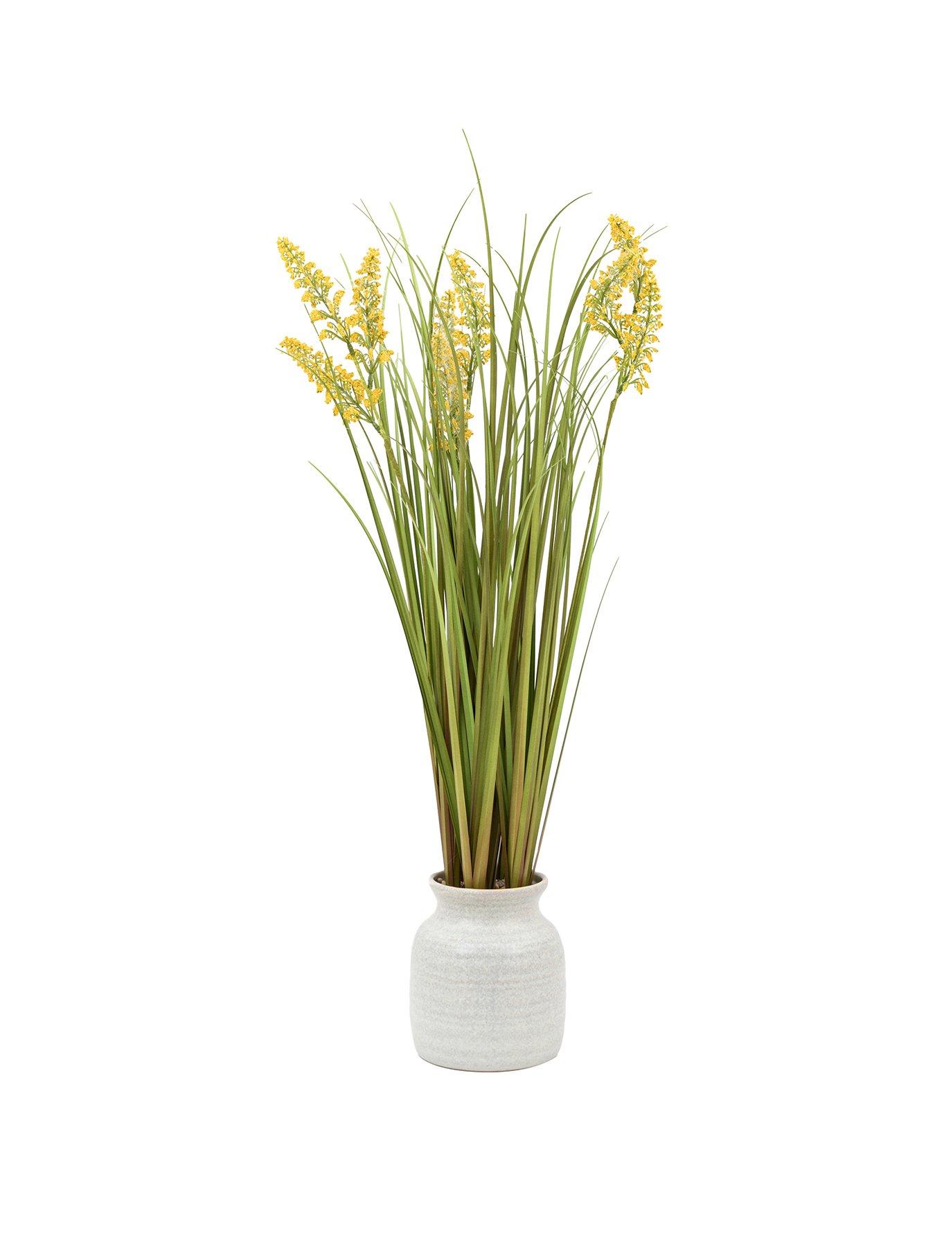 gallery-direct-potted-grass-with-yellow-wildflowerstillFront