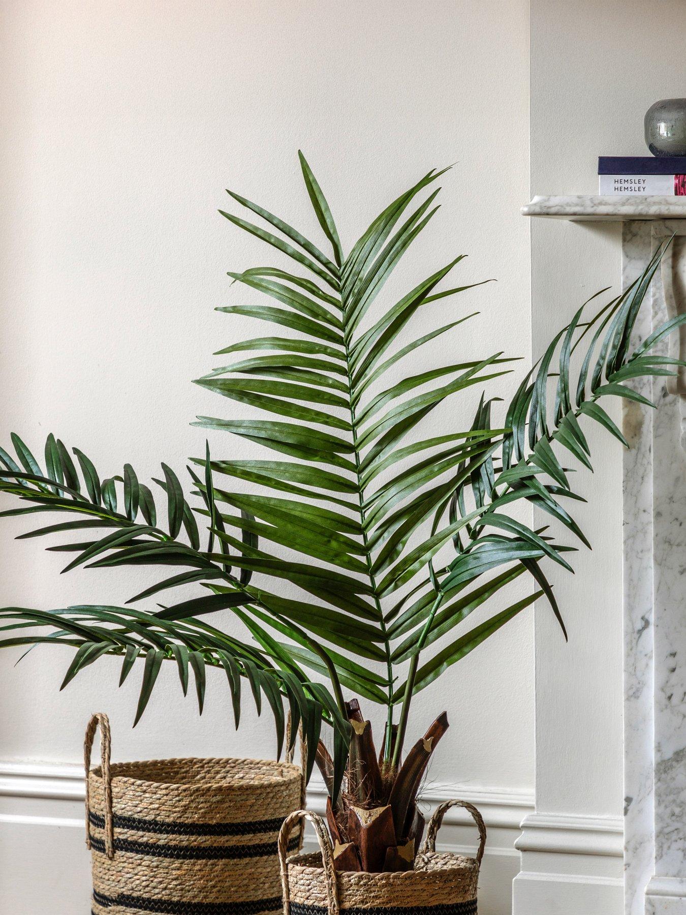 Gallery Direct Potted King Kentia Palm Tree 4ft