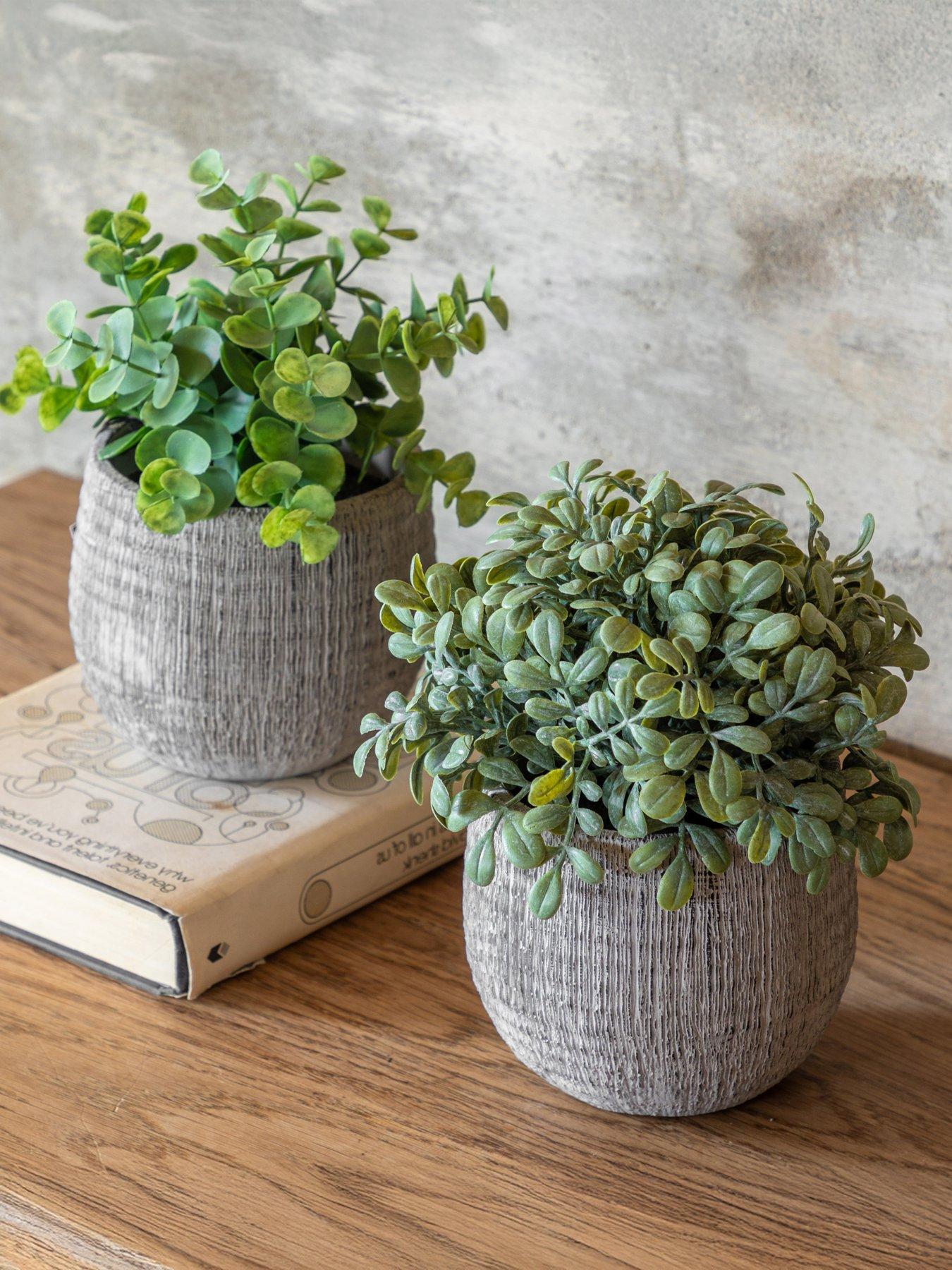 gallery-direct-potted-plant-ceramic-scratch-pots-sage-s2front