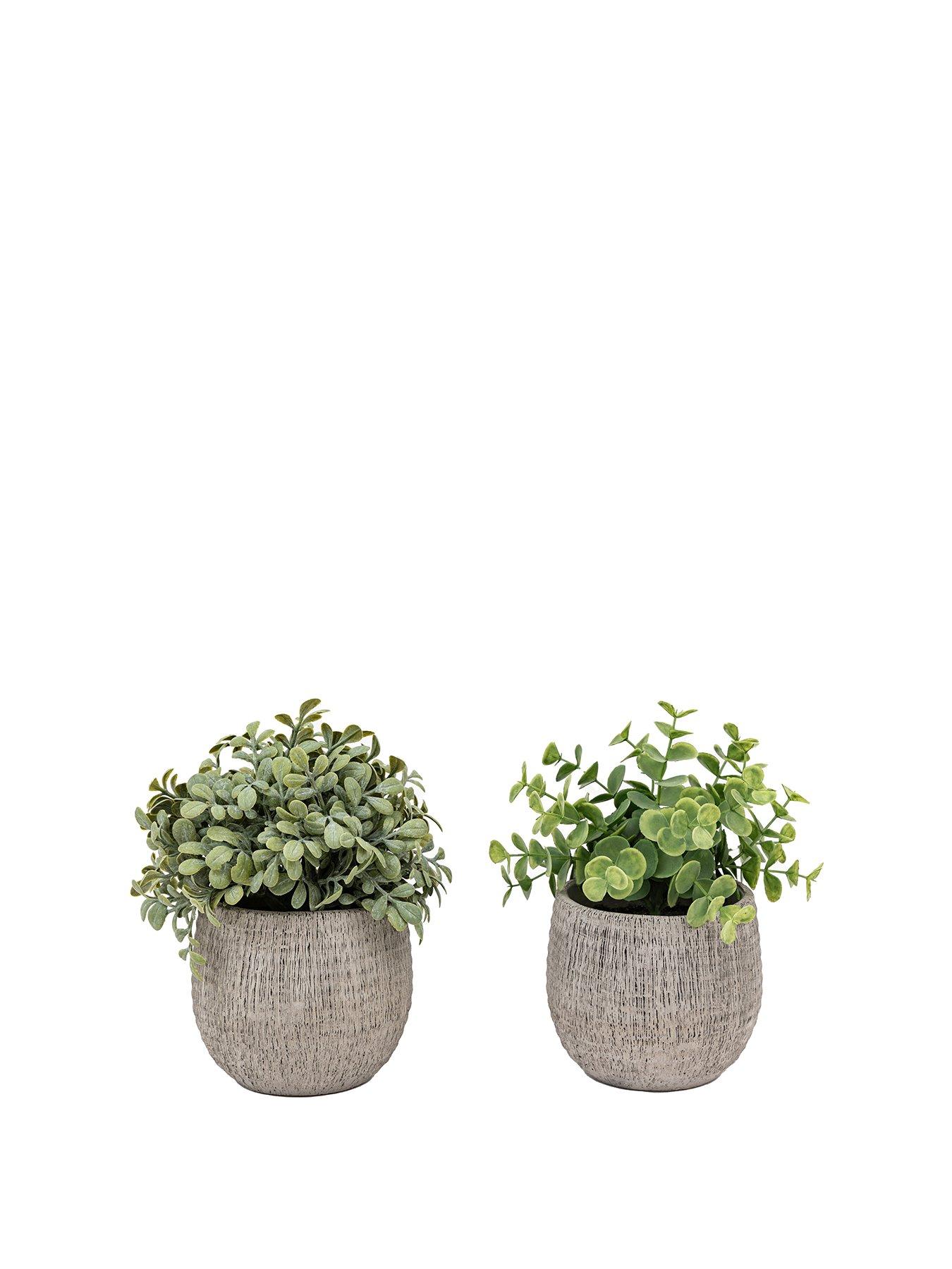 gallery-direct-potted-plant-ceramic-scratch-pots-sage-s2stillFront