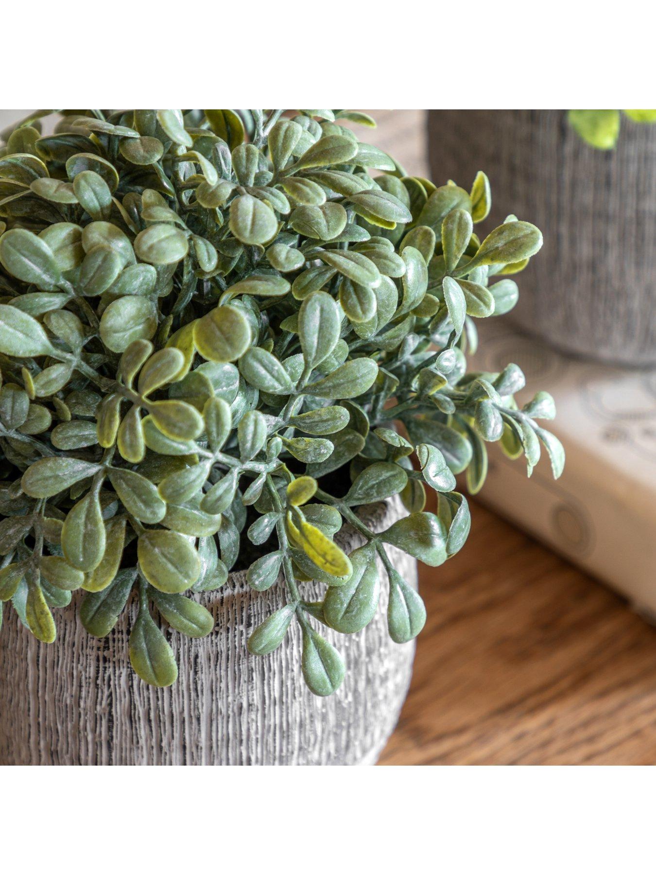 gallery-direct-potted-plant-ceramic-scratch-pots-sage-s2back