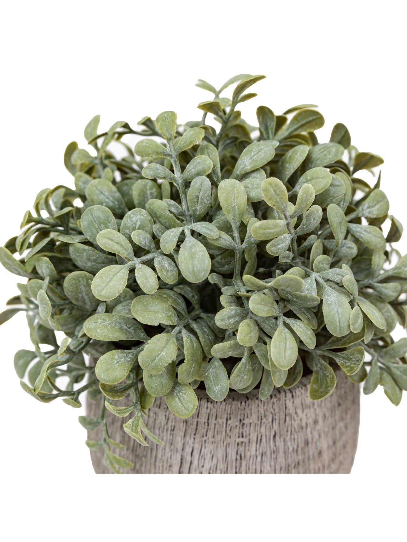 gallery-direct-potted-plant-ceramic-scratch-pots-sage-s2outfit