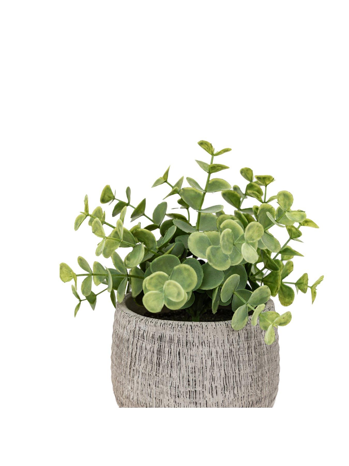 gallery-direct-potted-plant-ceramic-scratch-pots-sage-s2detail