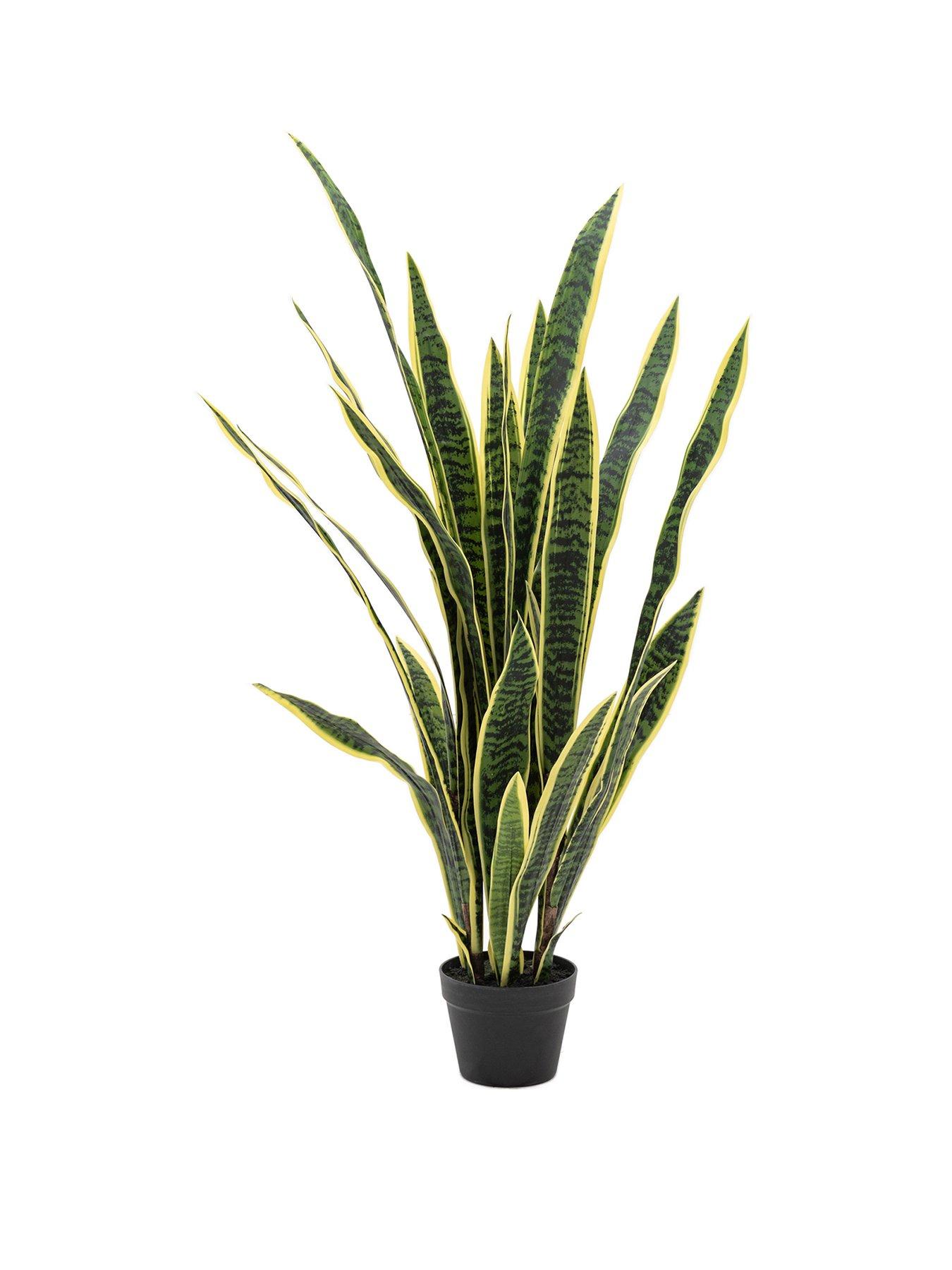 gallery-direct-potted-sansevieria-plant-4ftstillFront
