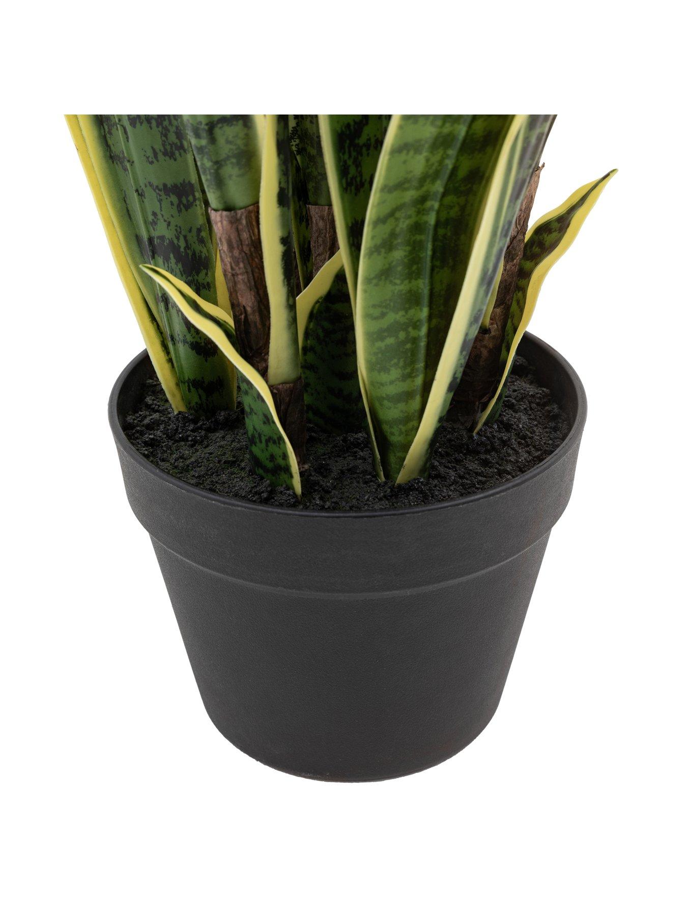 gallery-direct-potted-sansevieria-plant-4ftdetail