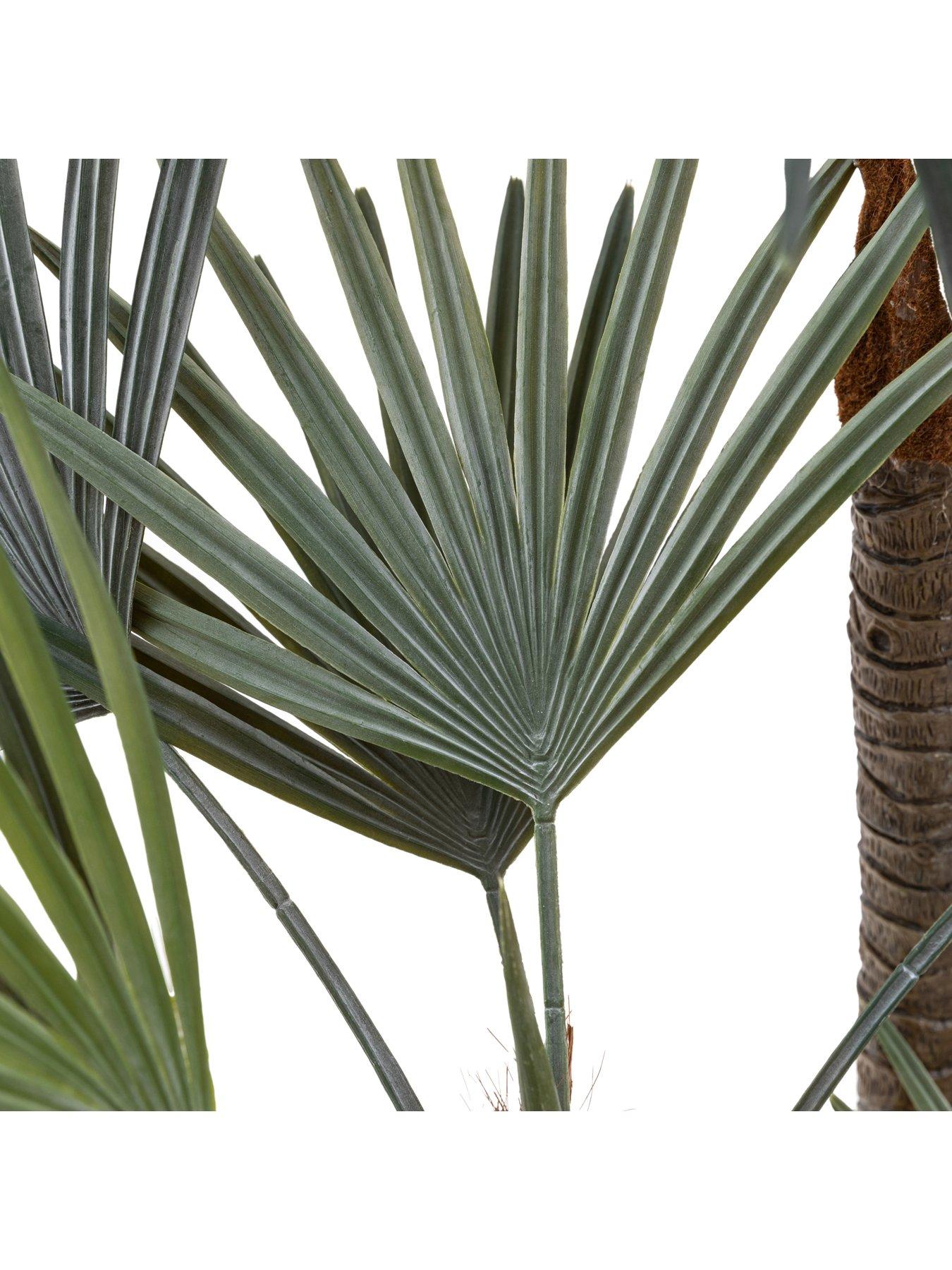 Image 4 of 5 of Gallery Direct Potted Statement Palm 1580mm