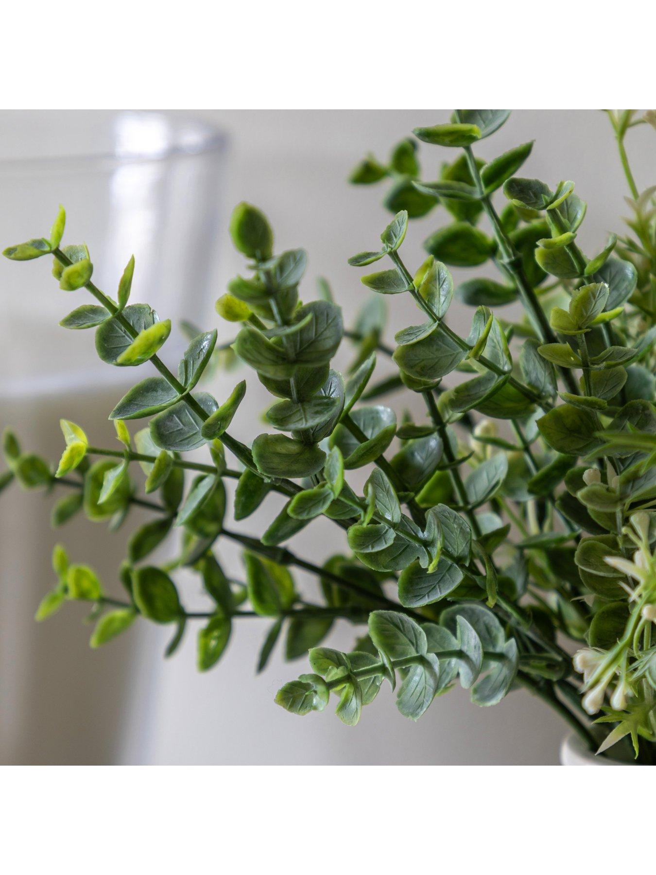 gallery-direct-retro-vase-with-eucalyptusback