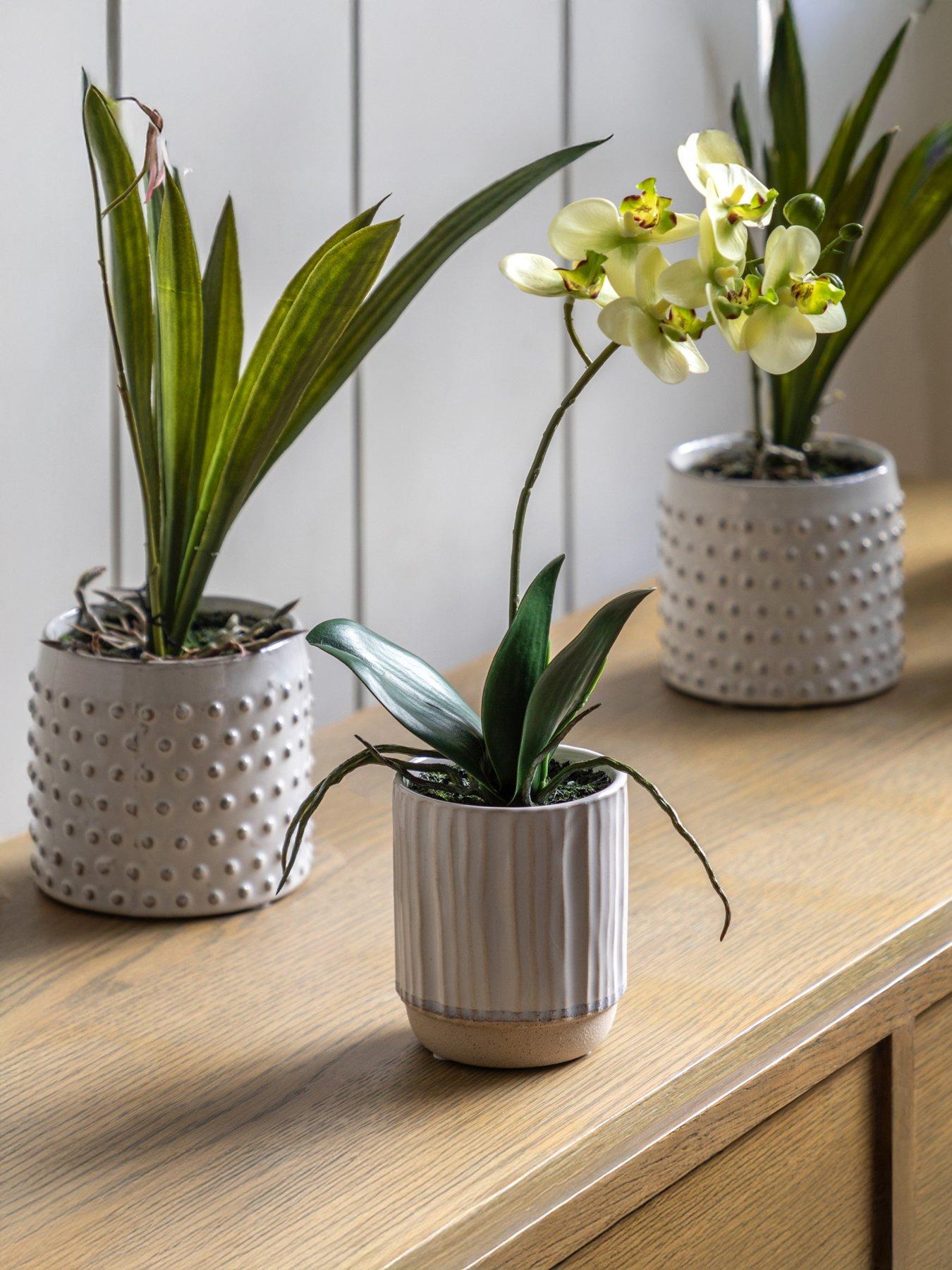 Image 1 of 6 of Gallery Direct Orchid Cream In Ribbed White Ceramic Pot 320mm