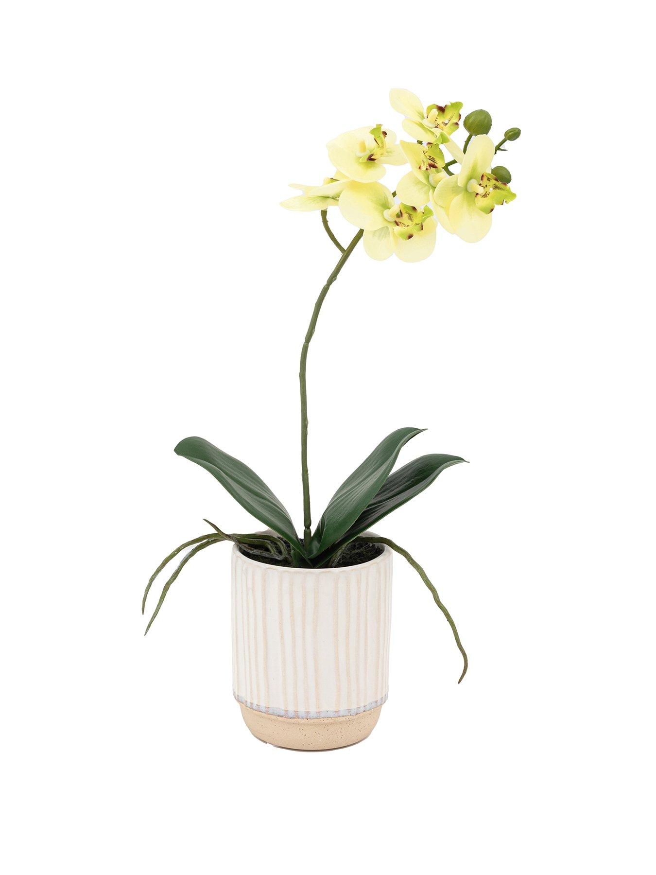 Image 2 of 6 of Gallery Direct Orchid Cream In Ribbed White Ceramic Pot 320mm
