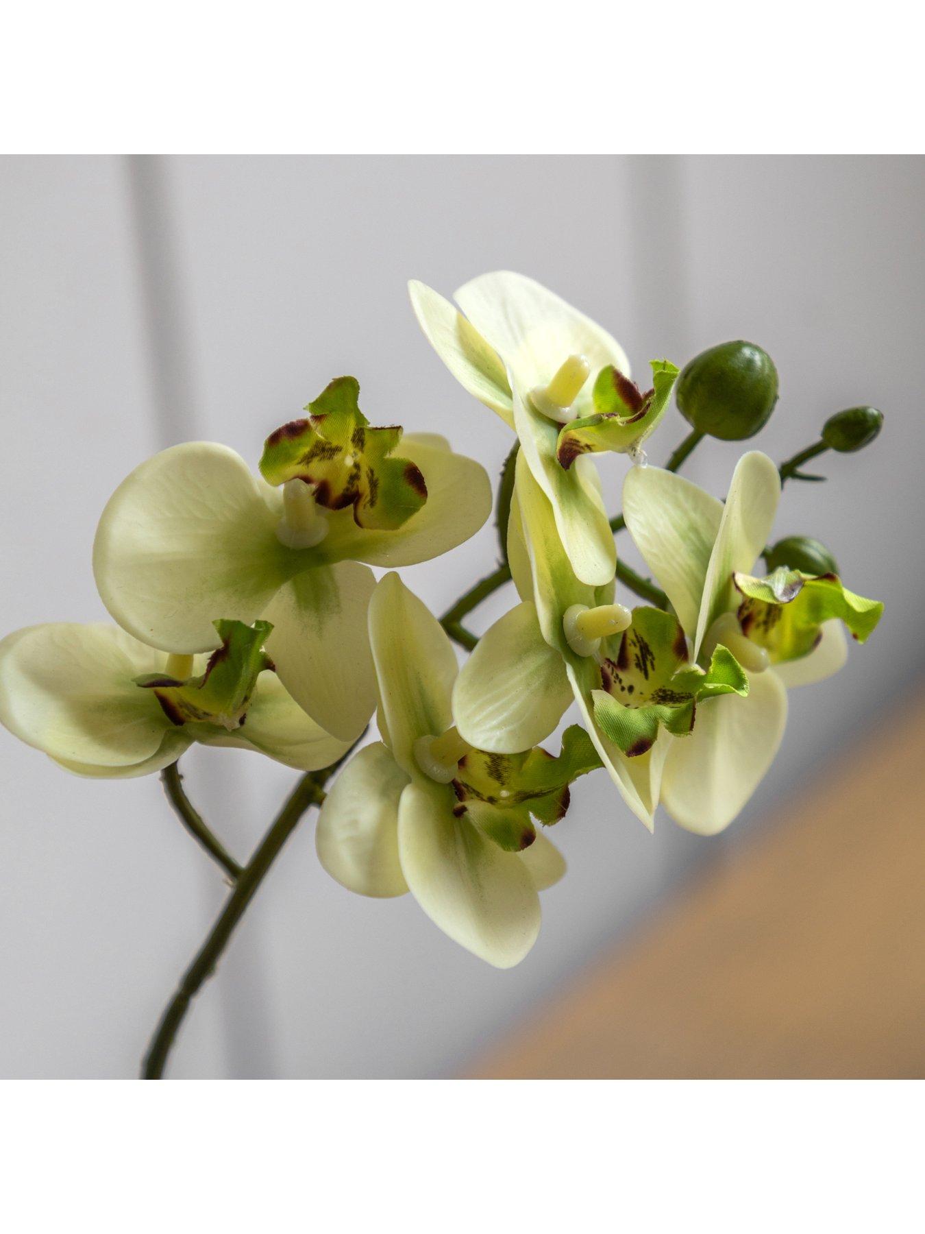 Image 3 of 6 of Gallery Direct Orchid Cream In Ribbed White Ceramic Pot 320mm
