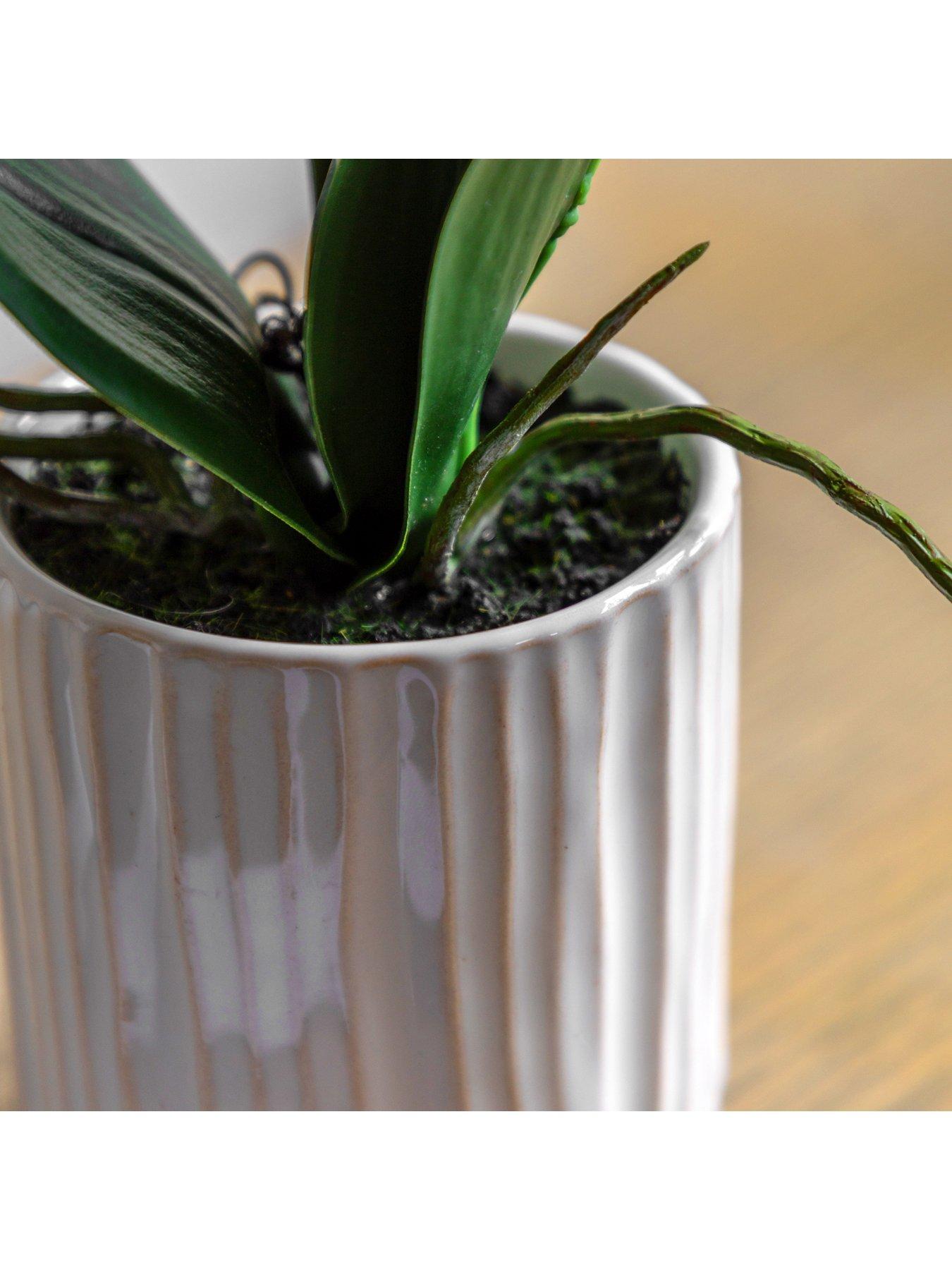 Image 4 of 6 of Gallery Direct Orchid Cream In Ribbed White Ceramic Pot 320mm