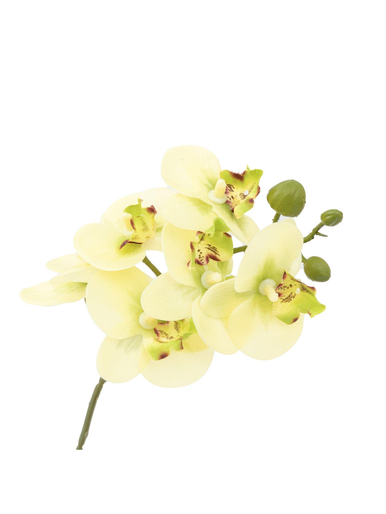 Image 5 of 6 of Gallery Direct Orchid Cream In Ribbed White Ceramic Pot 320mm