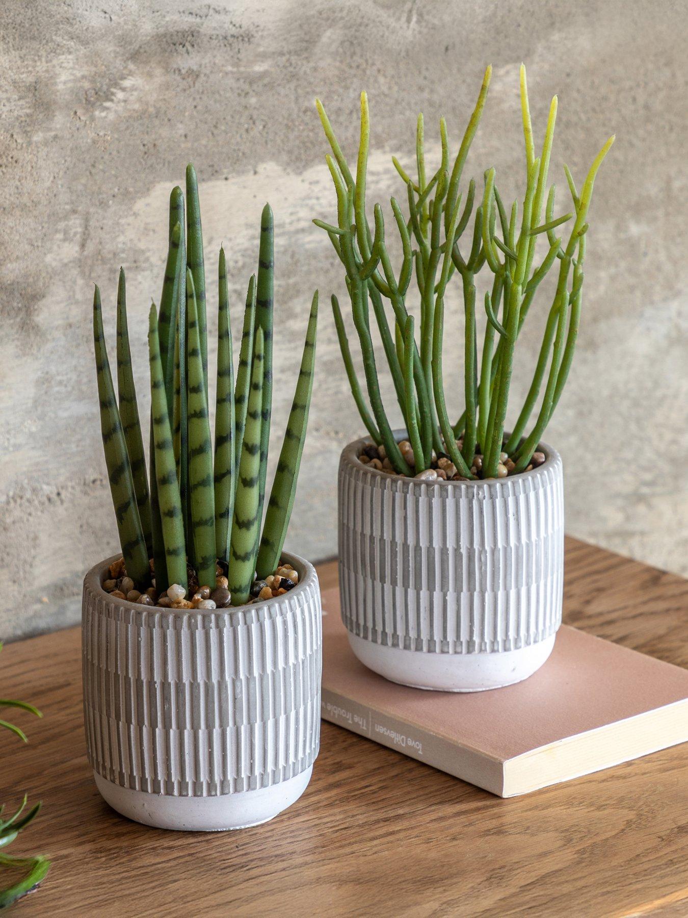 Gallery Direct Small Succulents Ceramic Pots Set Of 2 in Green