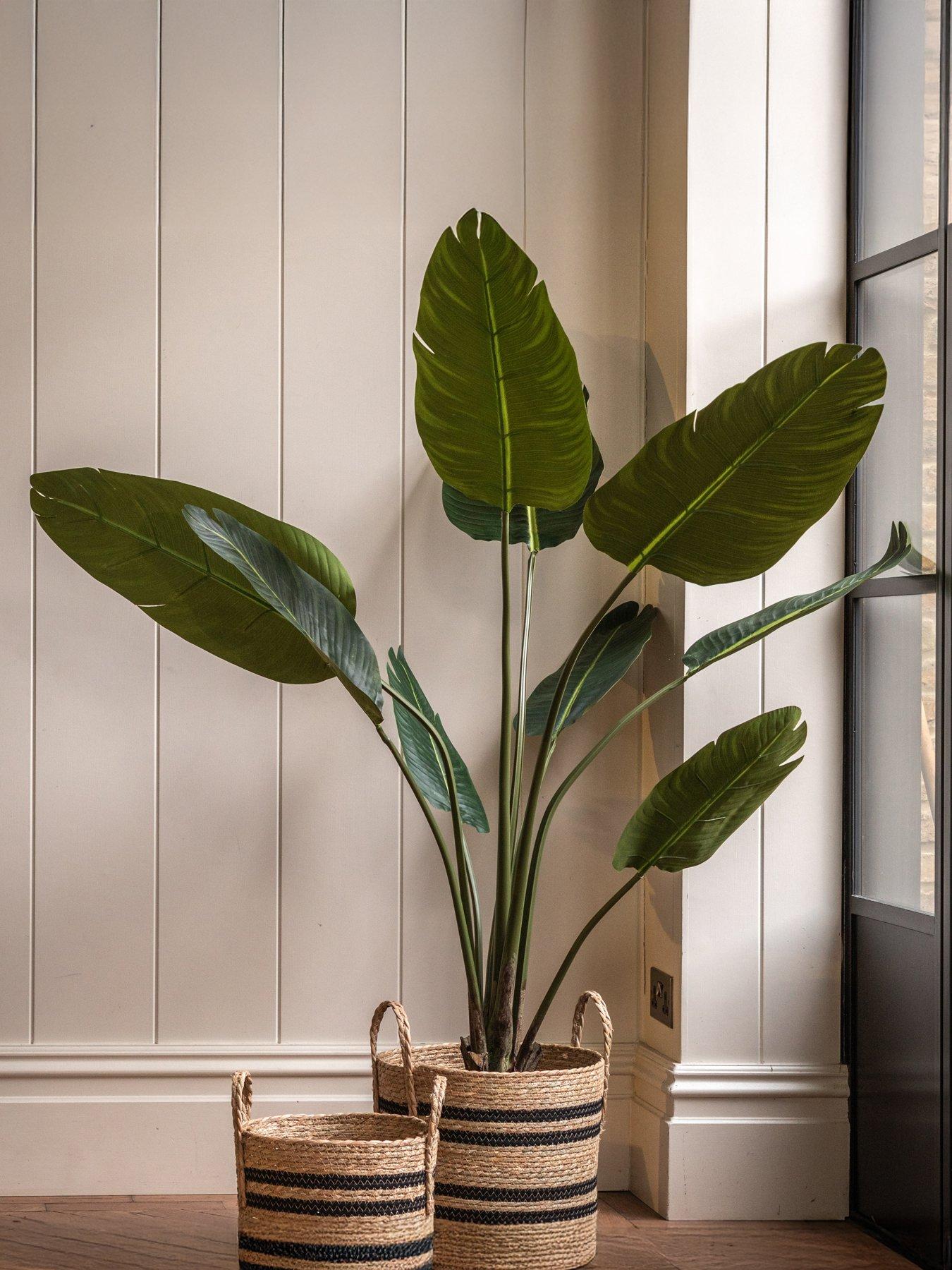 Gallery Direct Potted Travellers Palm Tree 4ft