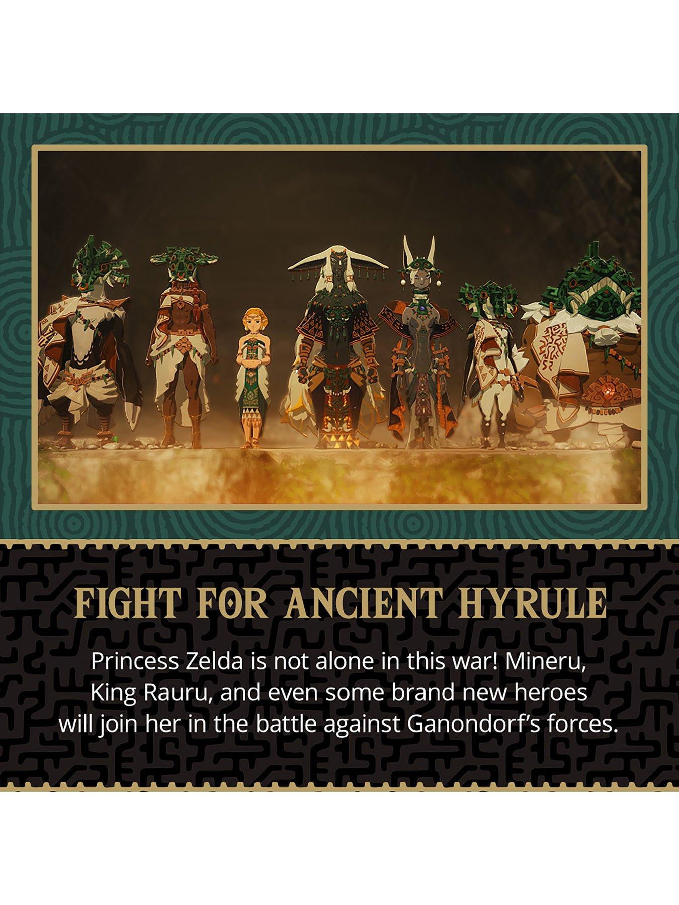 nintendo-switch-2-hyrule-warriors-age-of-imprisonmentoutfit