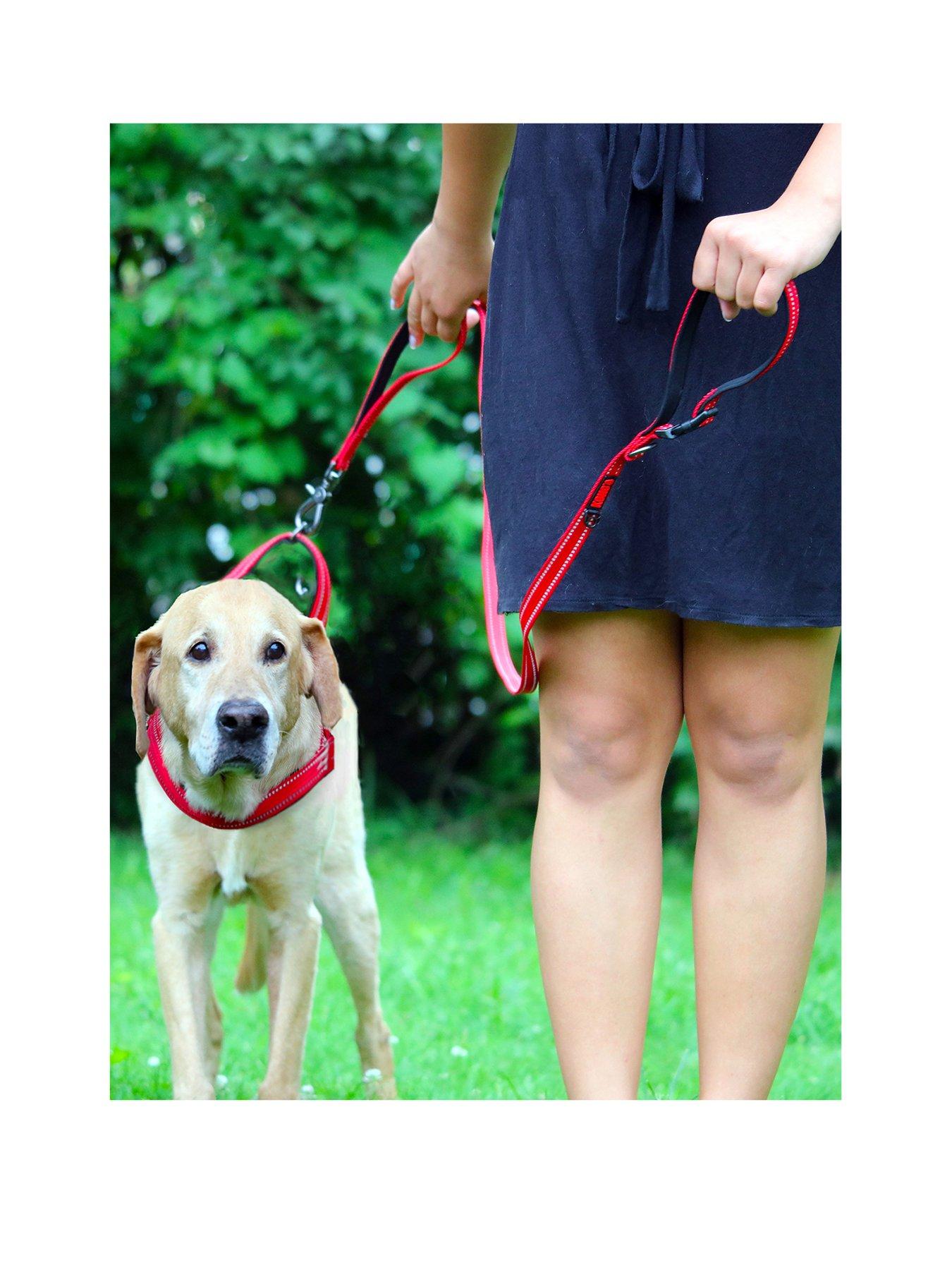 kong-norwegian-harness-redback
