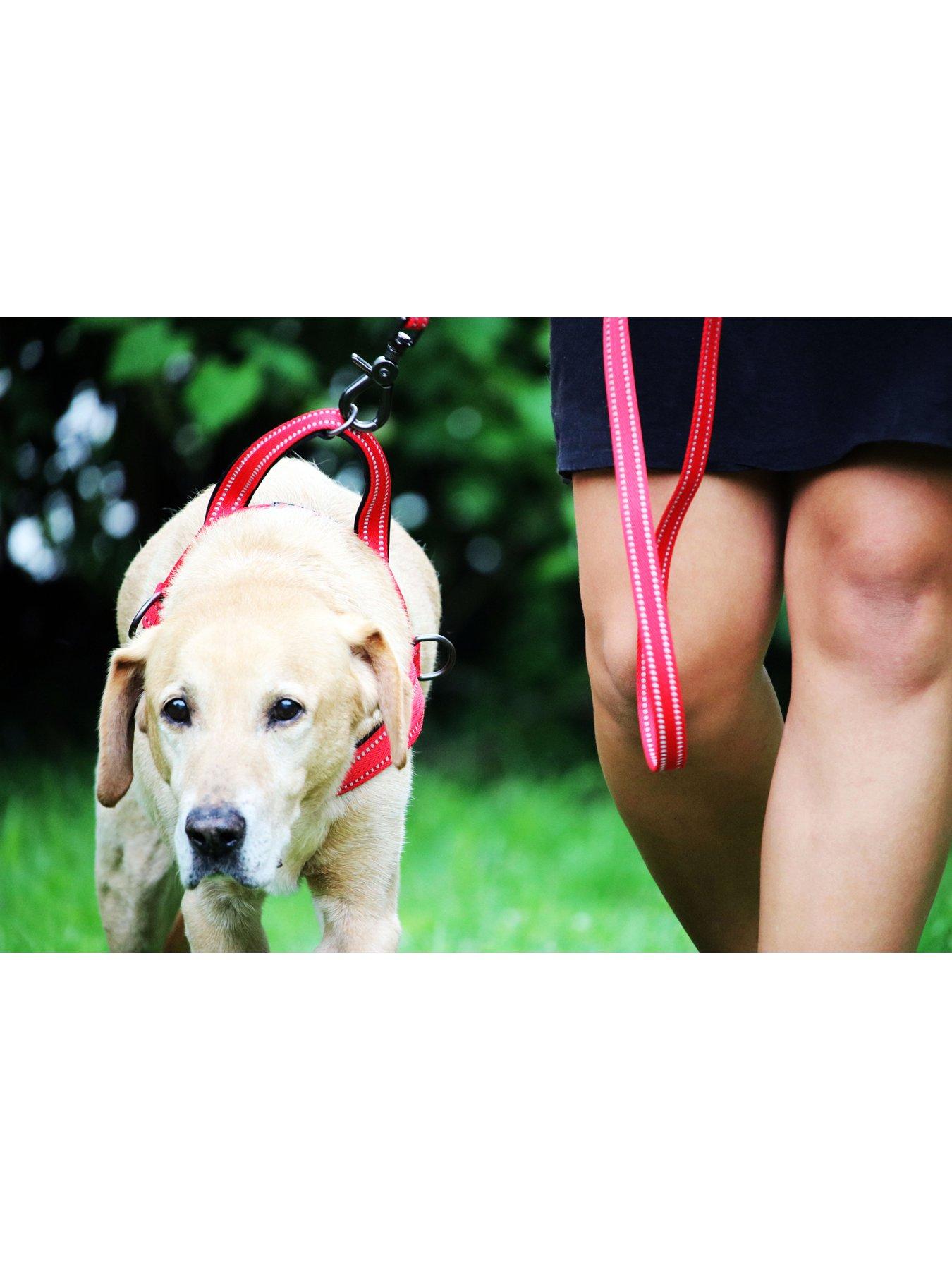 kong-norwegian-harness-redoutfit
