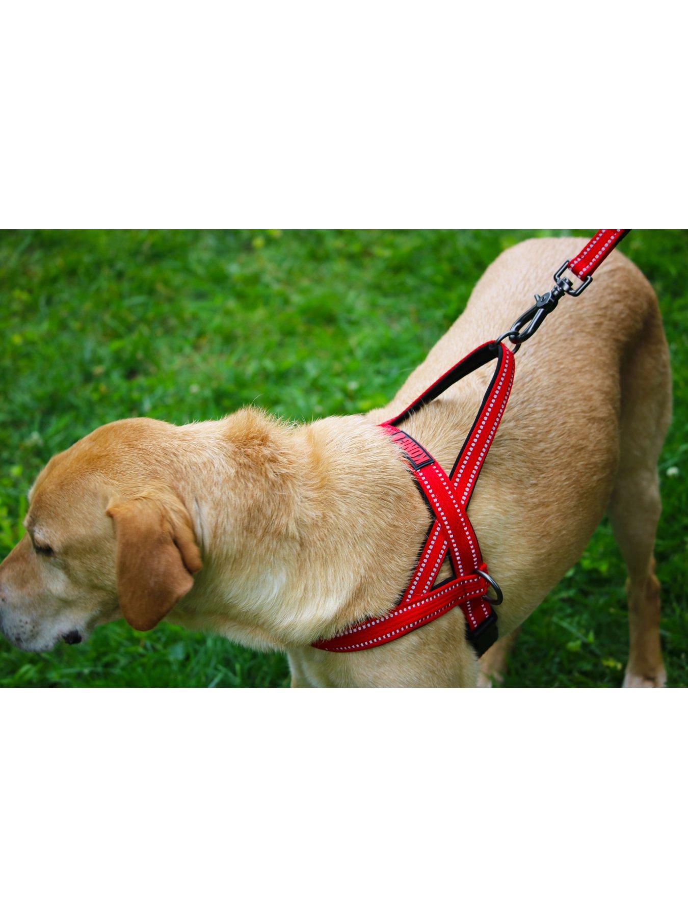 kong-norwegian-harness-reddetail