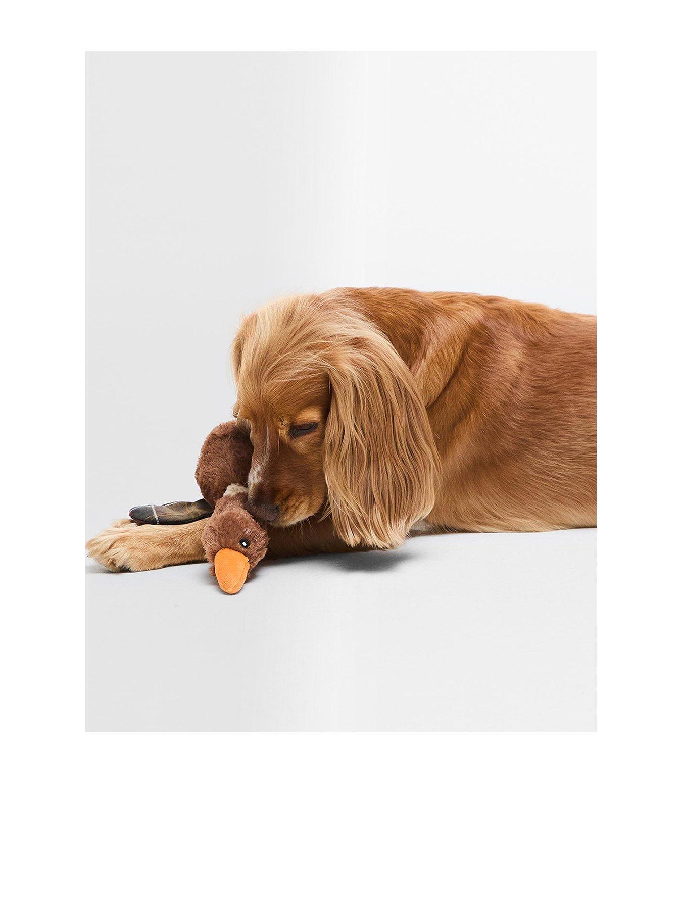 barbour-dog-flying-duck-toy-brown