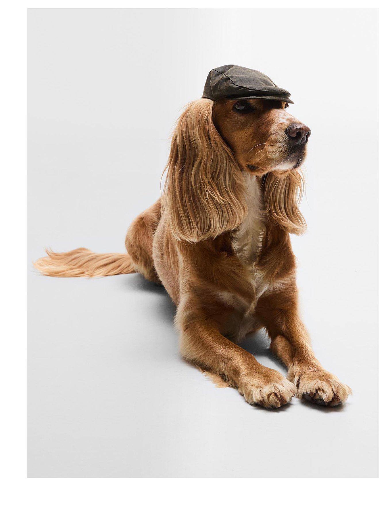 Image 1 of 4 of Barbour Dog Wax Flat Cap - Green