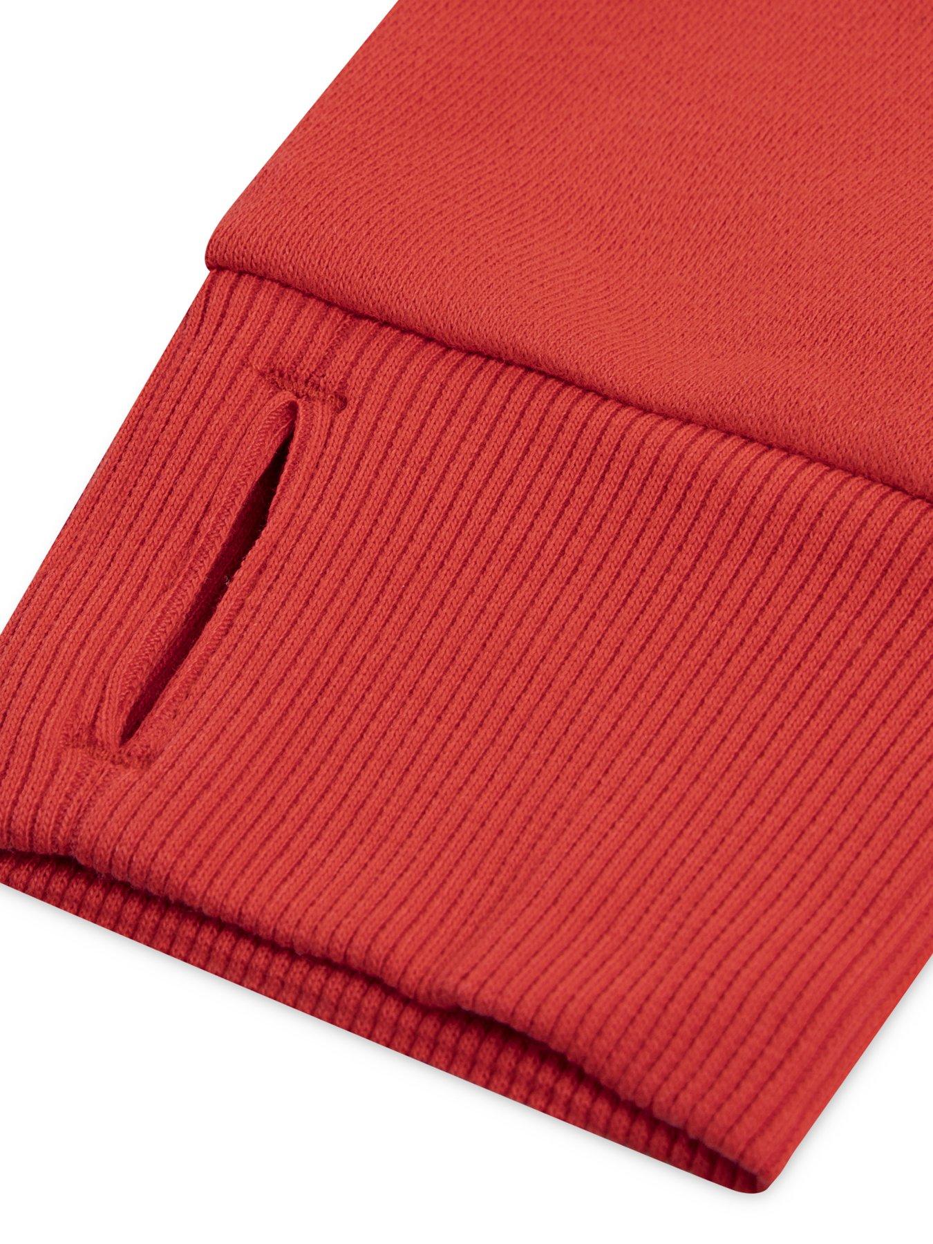 Image 4 of 4 of Levi's Girls Batwing Patch Hoodie - Red