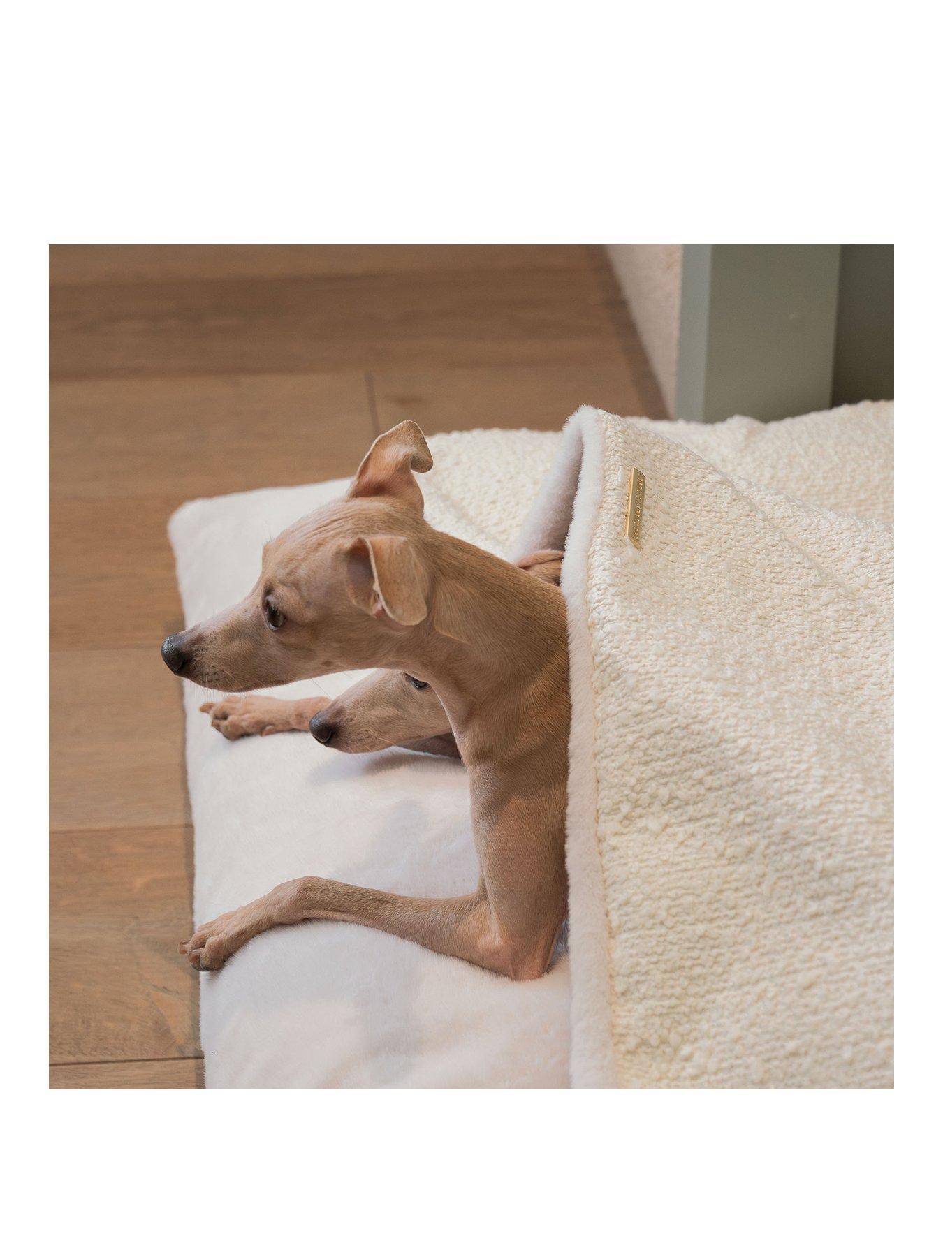 lords-and-labradors-boucle-sleepy-burrows-ivoryback