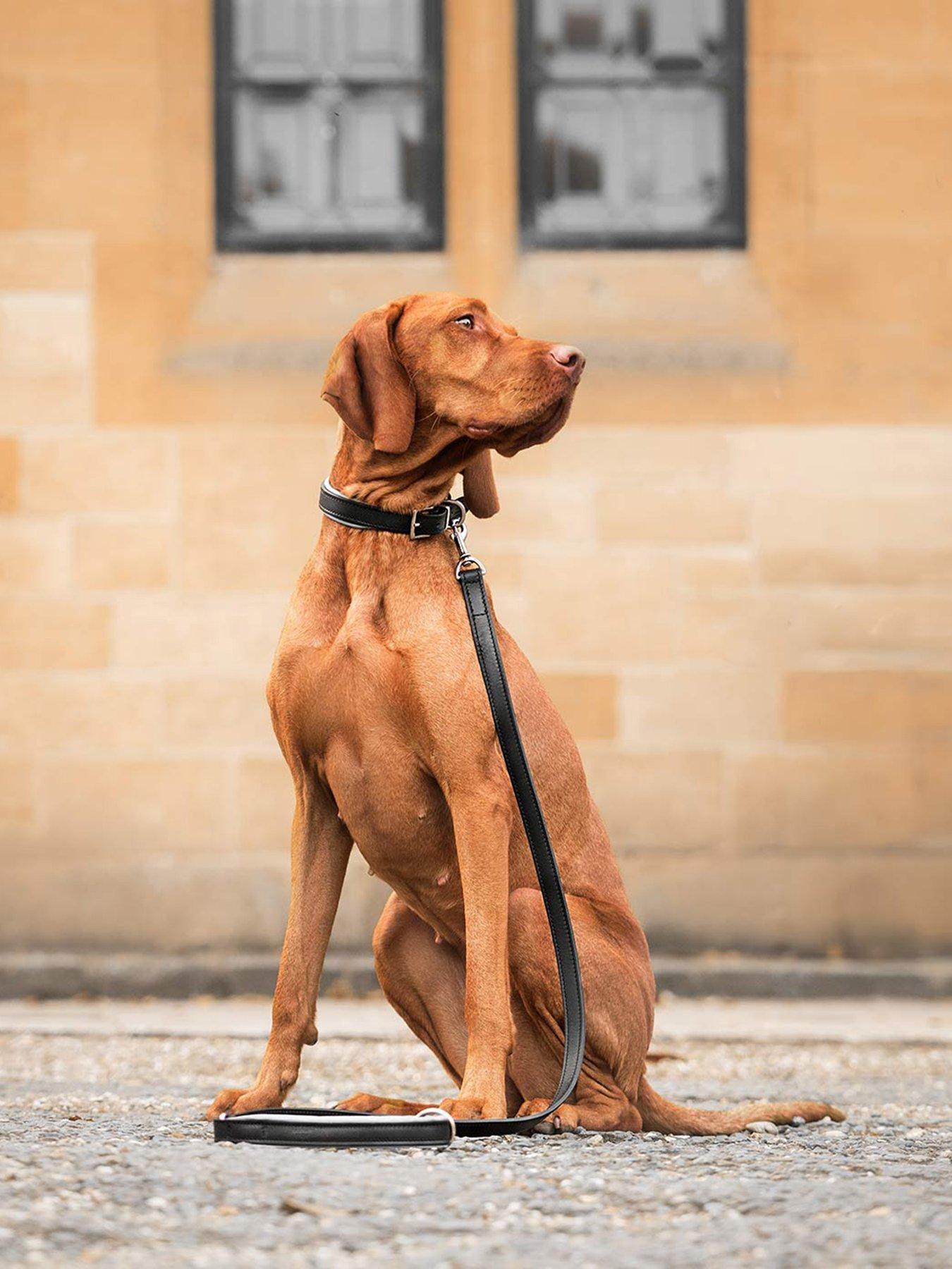 lords-and-labradors-italian-leather-collar-black-grey