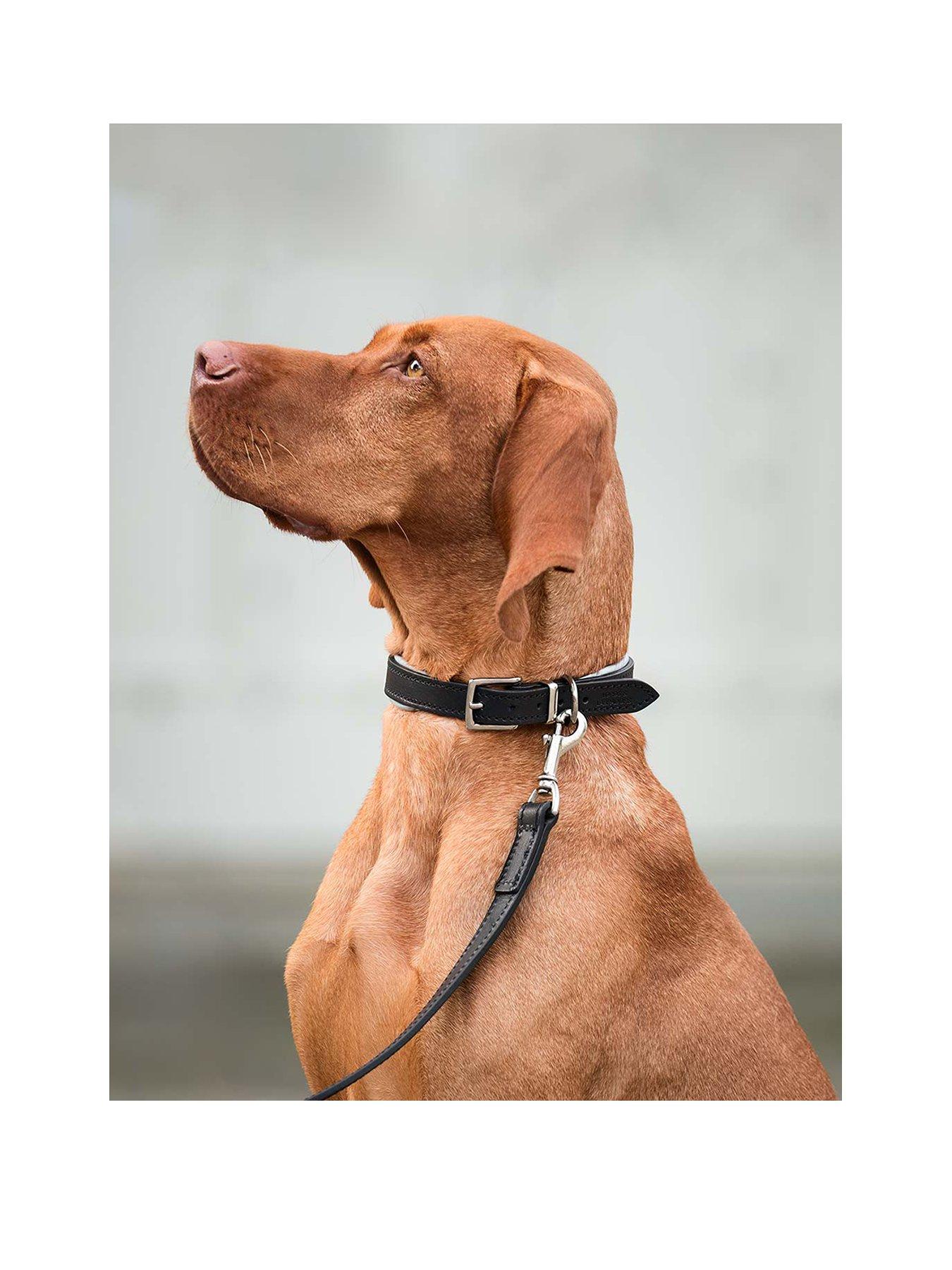 lords-and-labradors-italian-leather-collar-black-greystillFront