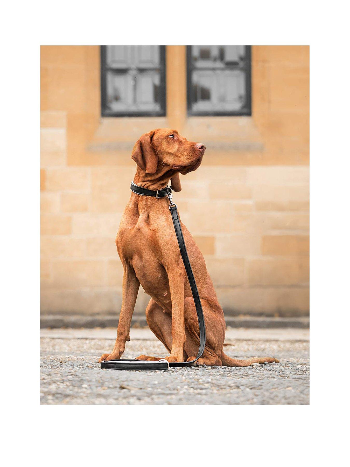 Lords and Labradors Italian Leather Lead Black & Grey