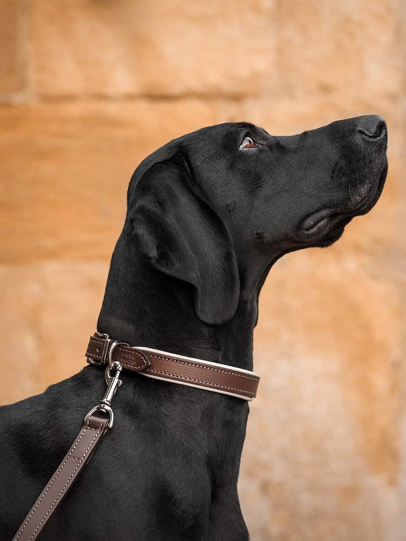 Lords and Labradors Italian Leather Collar Brown & Cream