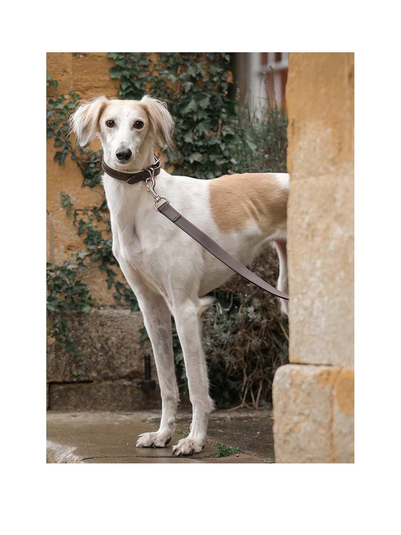 Lords and Labradors Italian Leather Lead Brown & Cream