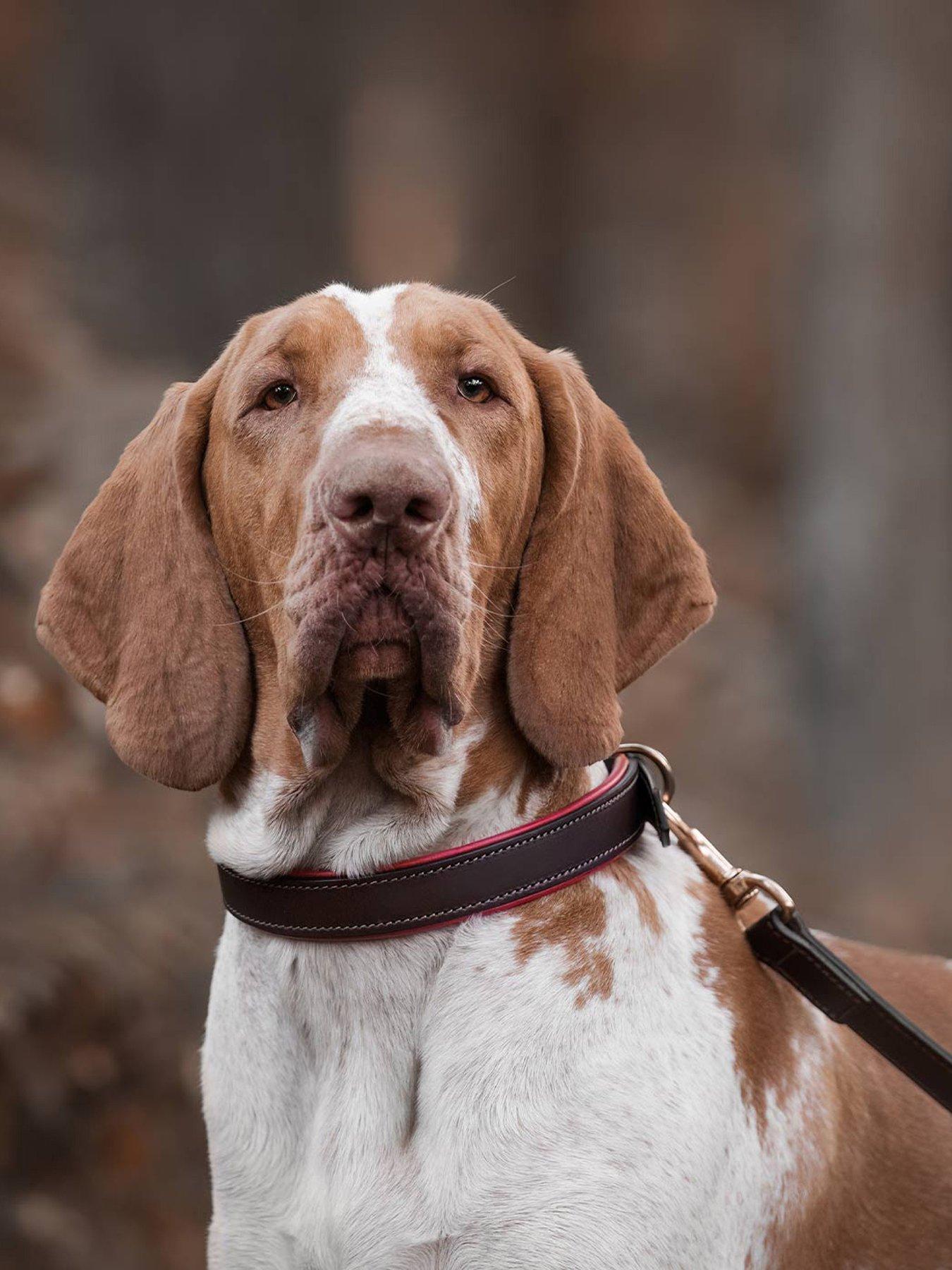 Lords and Labradors Italian Leather Collar Brown & Red