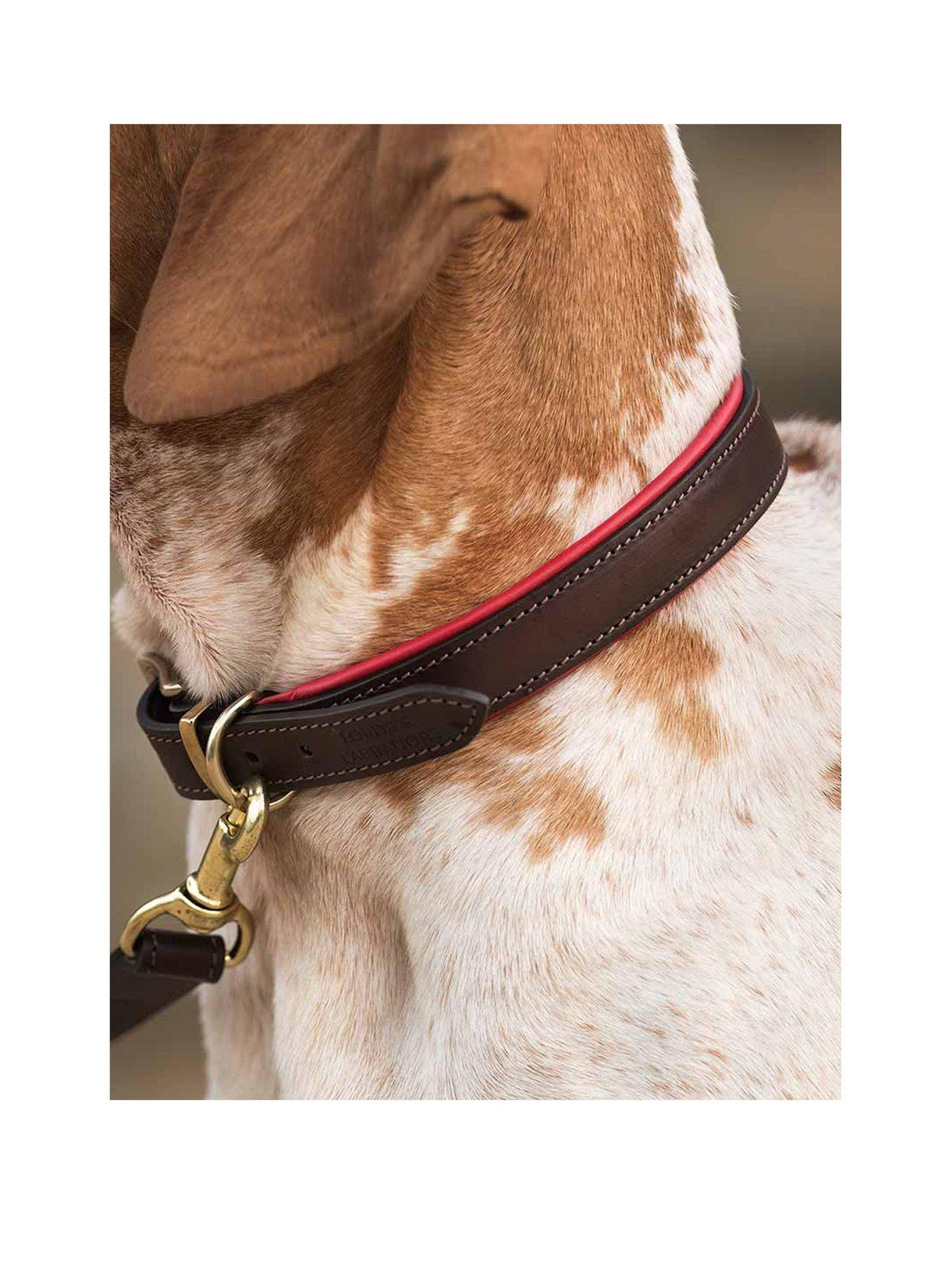 lords-and-labradors-italian-leather-collar-brown-redstillFront