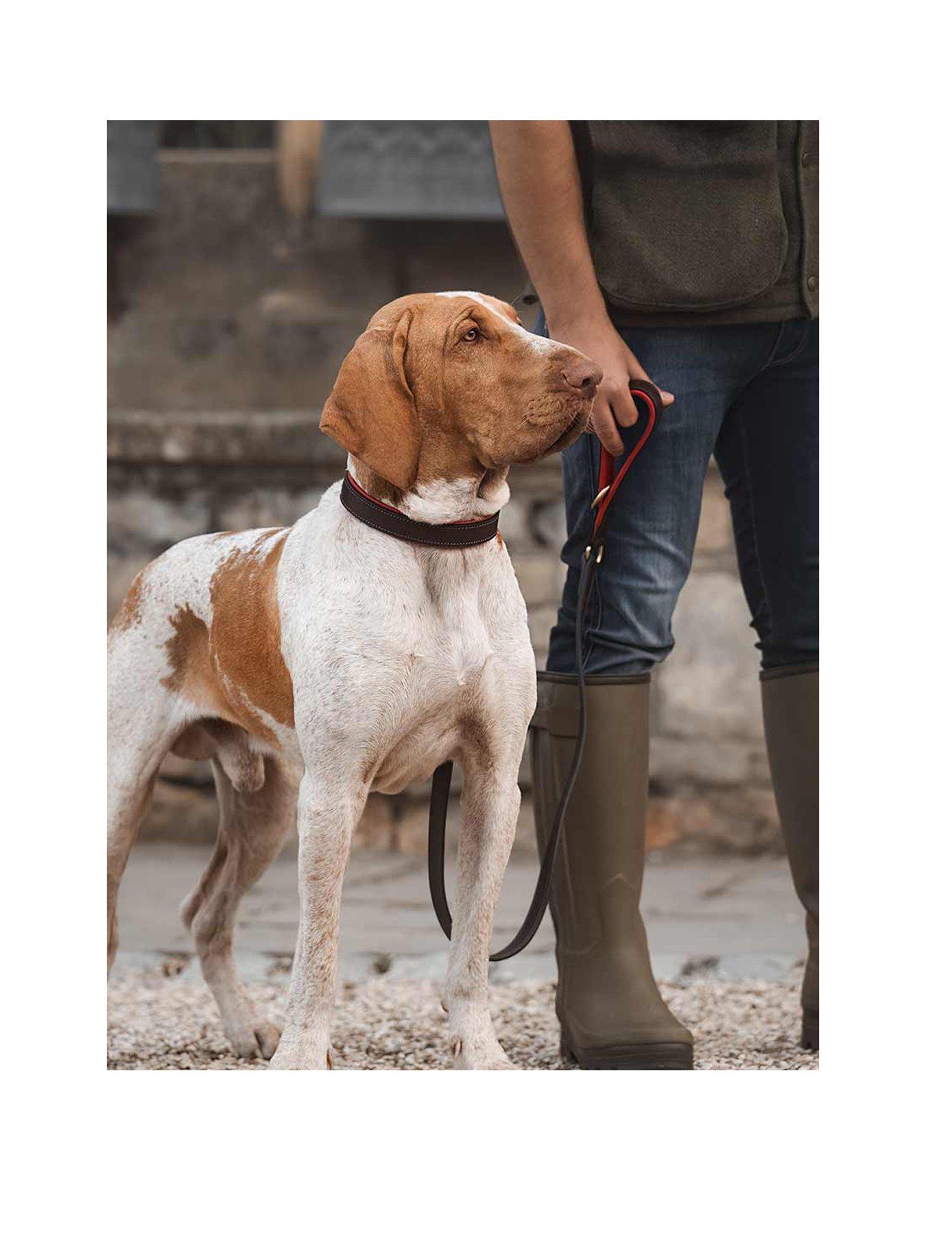 lords-and-labradors-italian-leather-collar-brown-redback