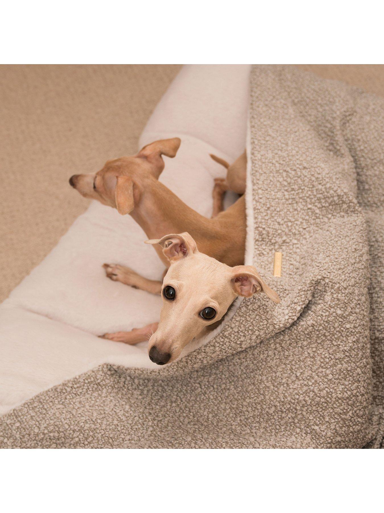lords-and-labradors-boucle-sleepy-burrows-minkback