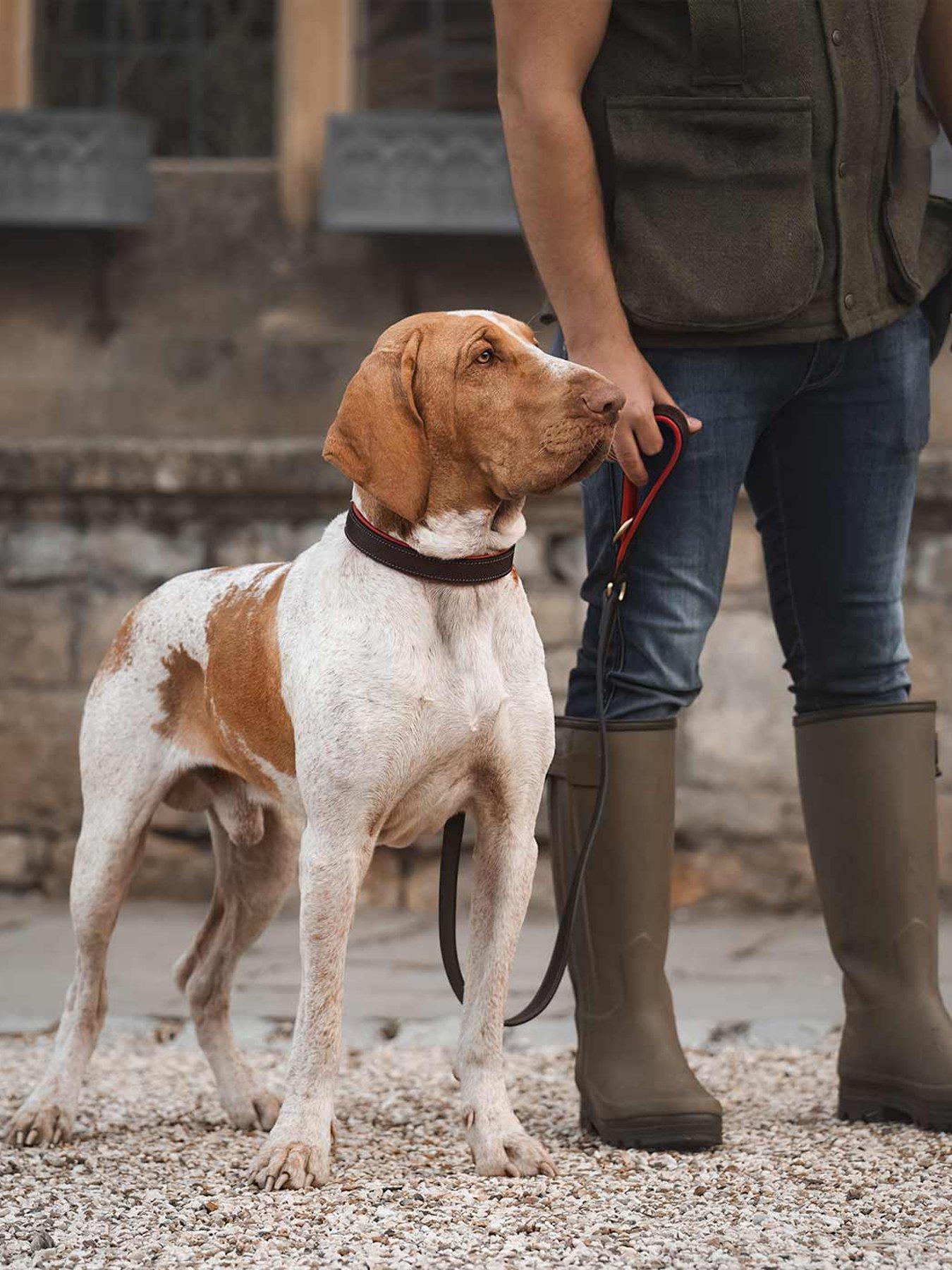 Lords and Labradors Italian Leather Lead Brown & Red