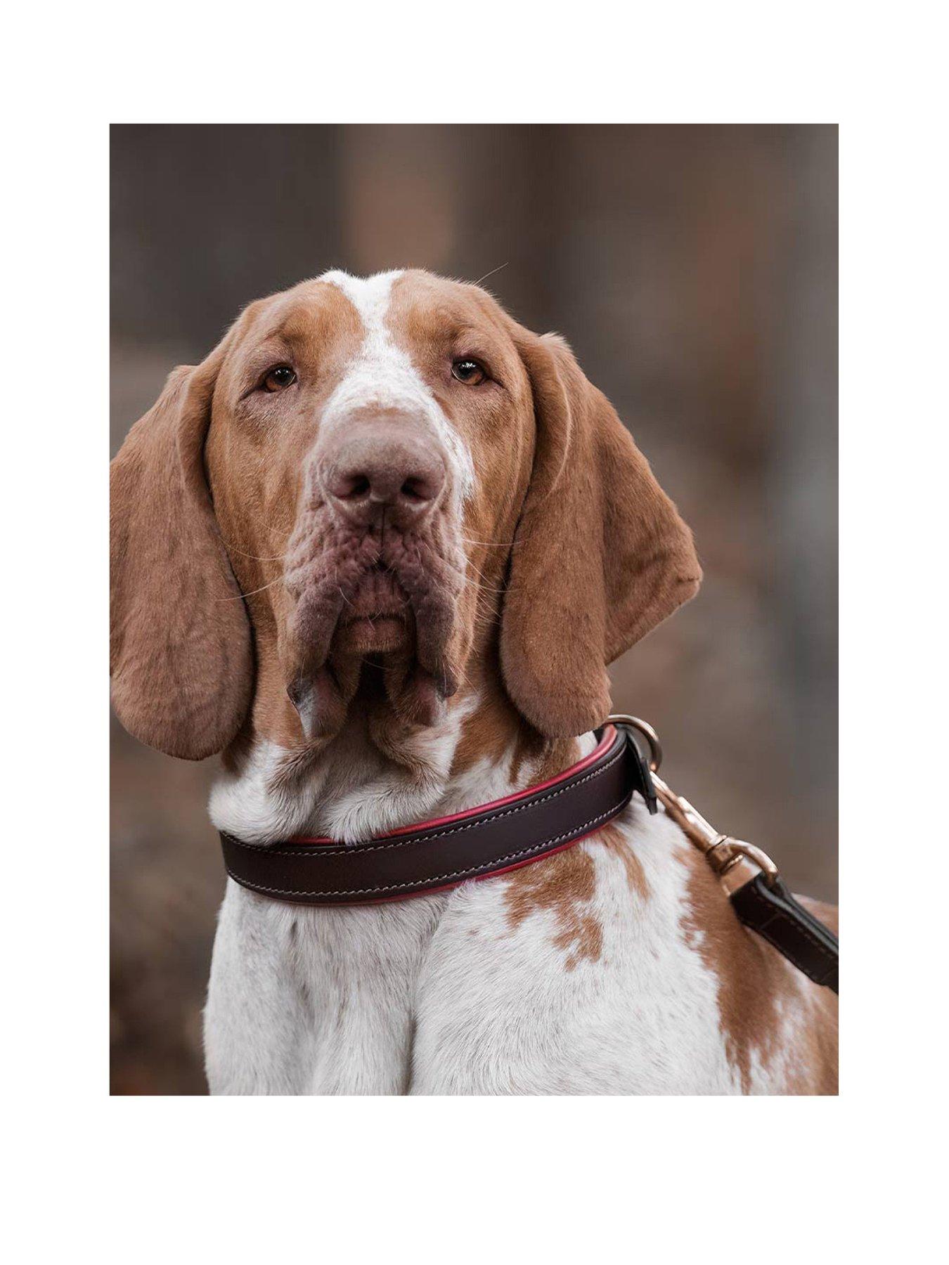 lords-and-labradors-italian-leather-lead-brown-redstillFront