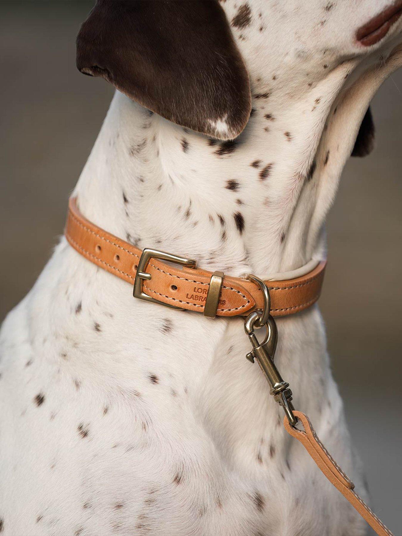 Lords and Labradors Italian Leather Collar Tan & Cream
