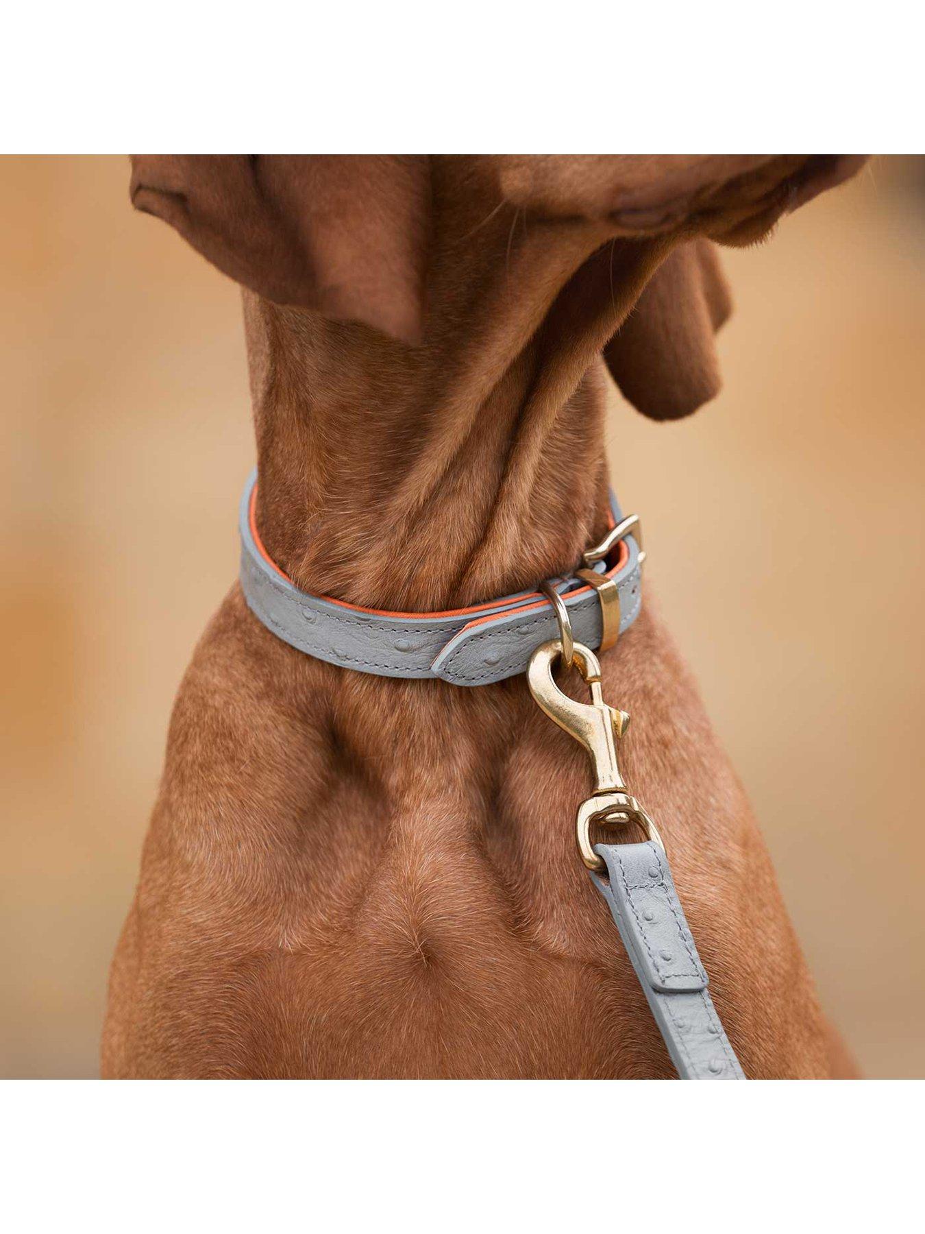 Image 4 of 4 of Lords and Labradors Italian Leather Collar - Ostrich Print
