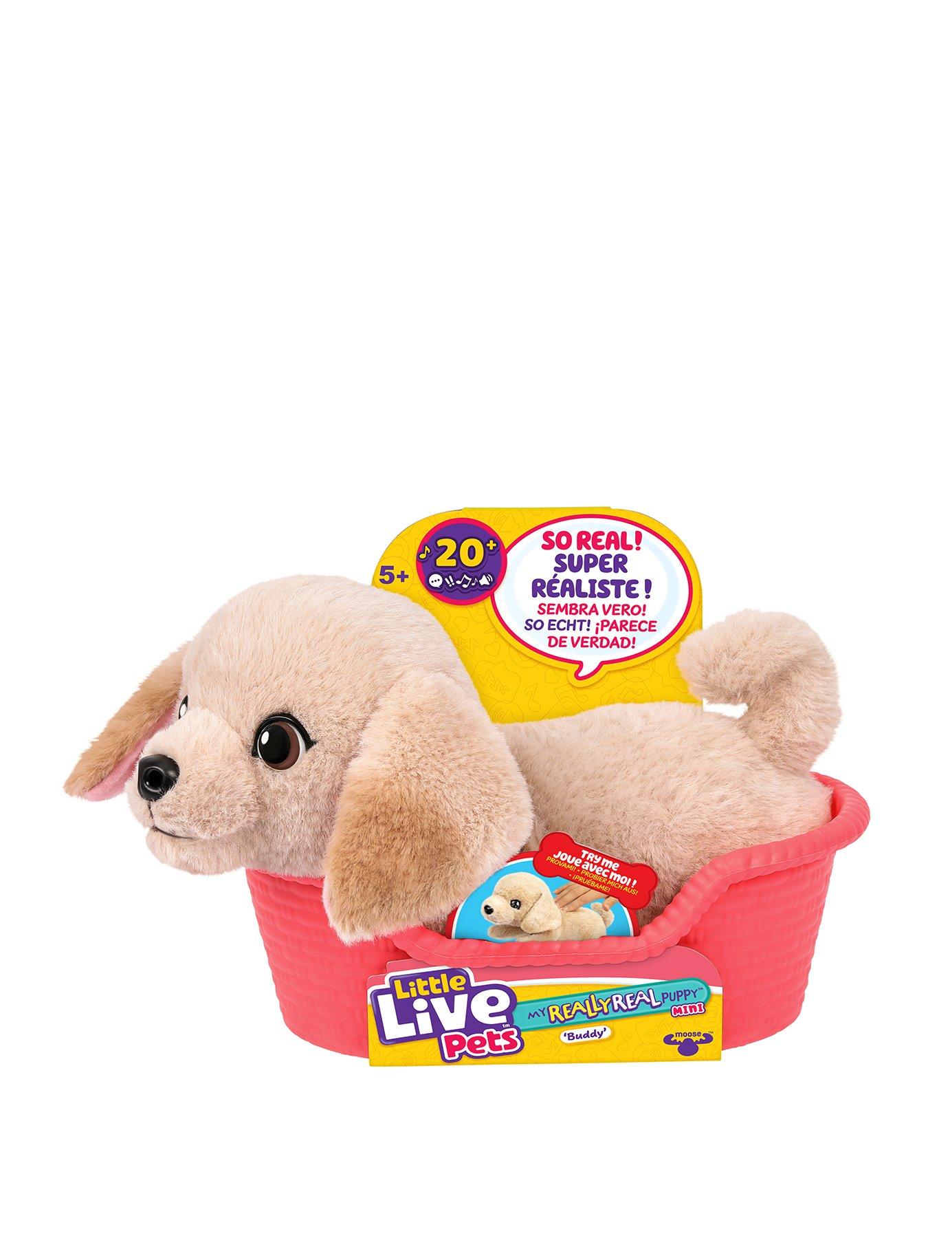 Little Live Pets Little Live Pets My Really Real Puppy Minis - Buddy the Interactive Pet